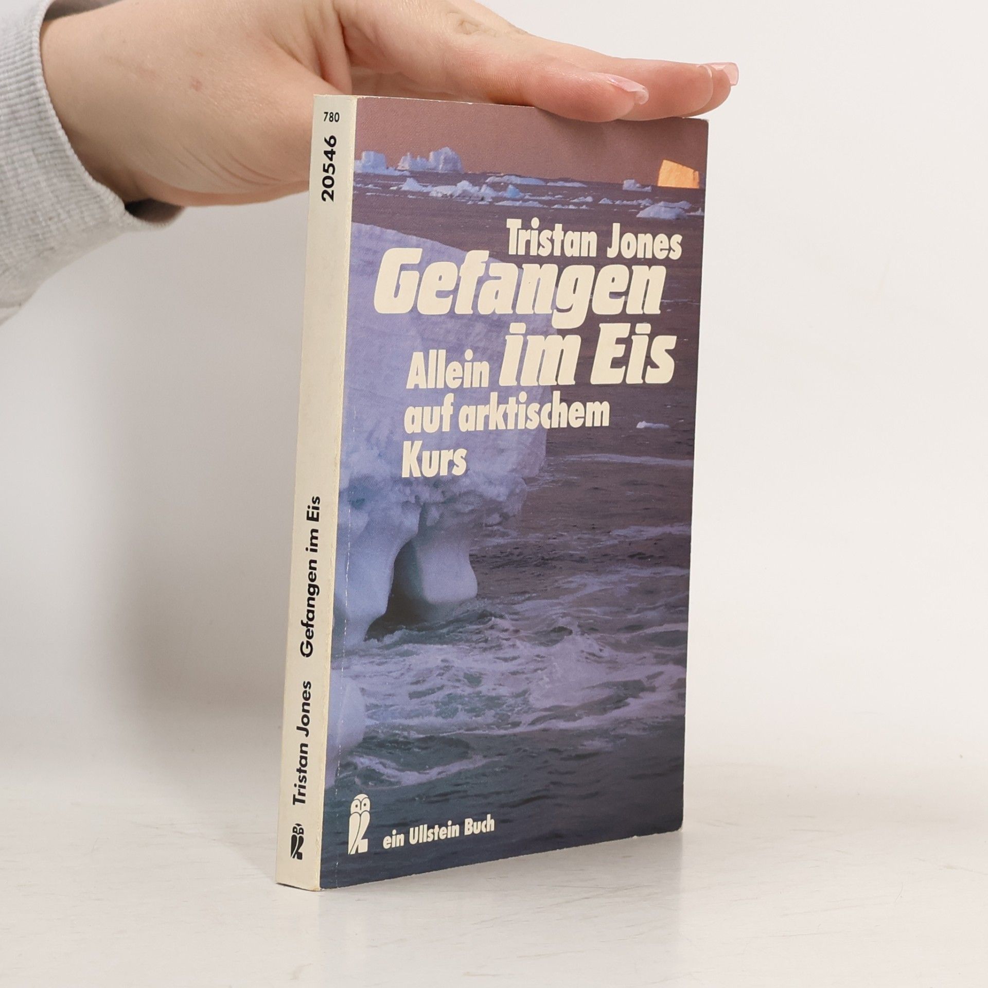Gefangen im Eis