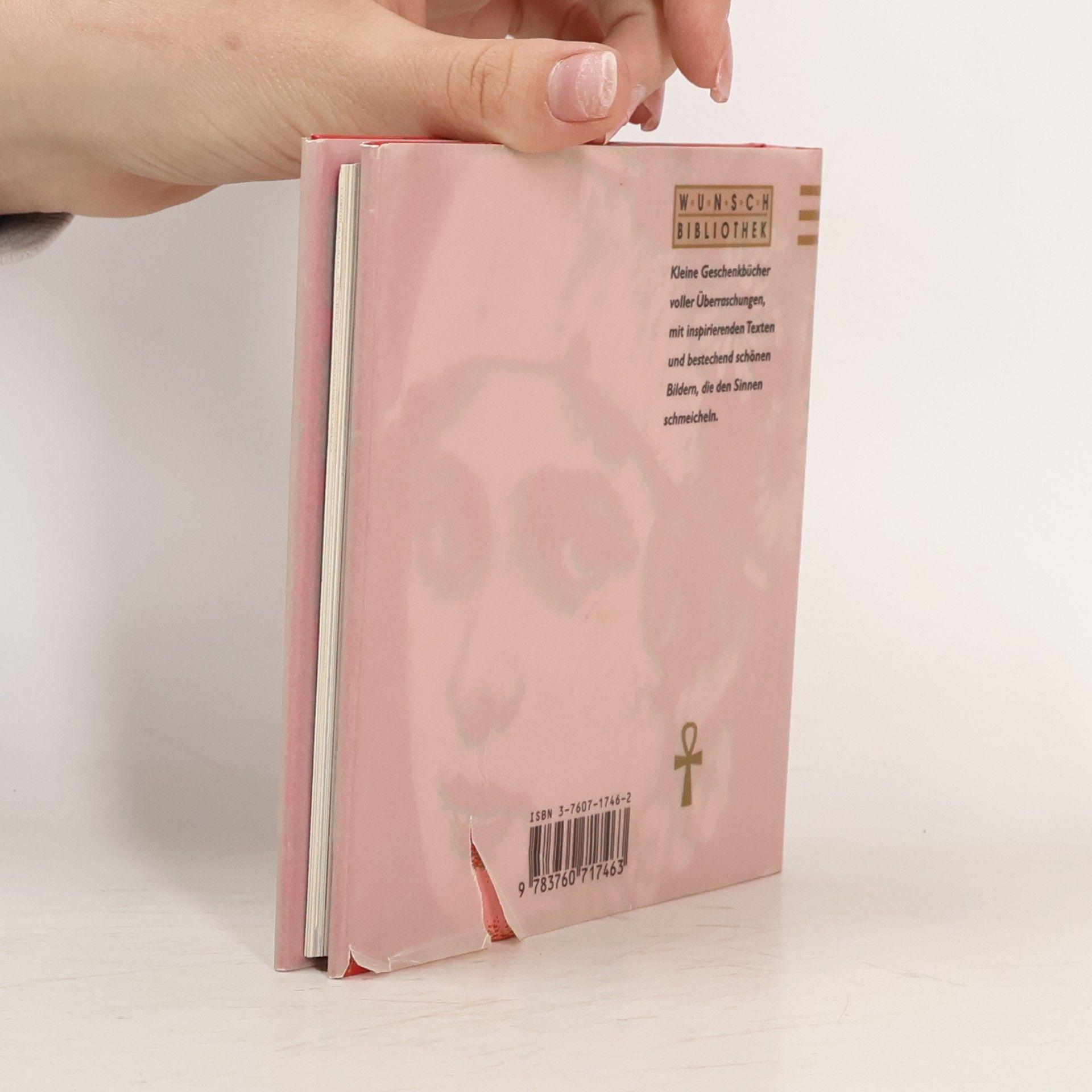kolektiv Frauen, Frauen, Frauen