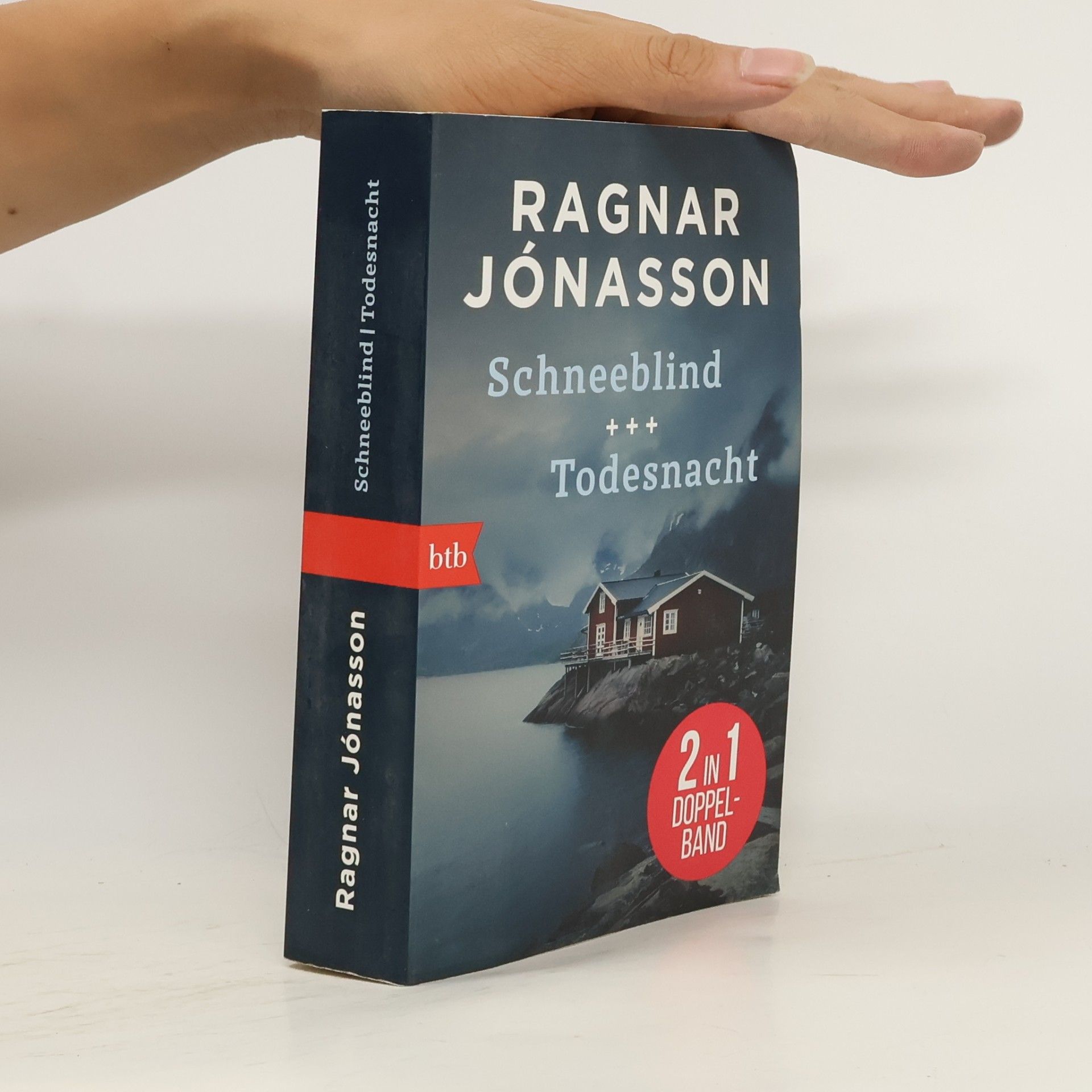 Ragnar Jónasson Schneeblind & Todesnacht