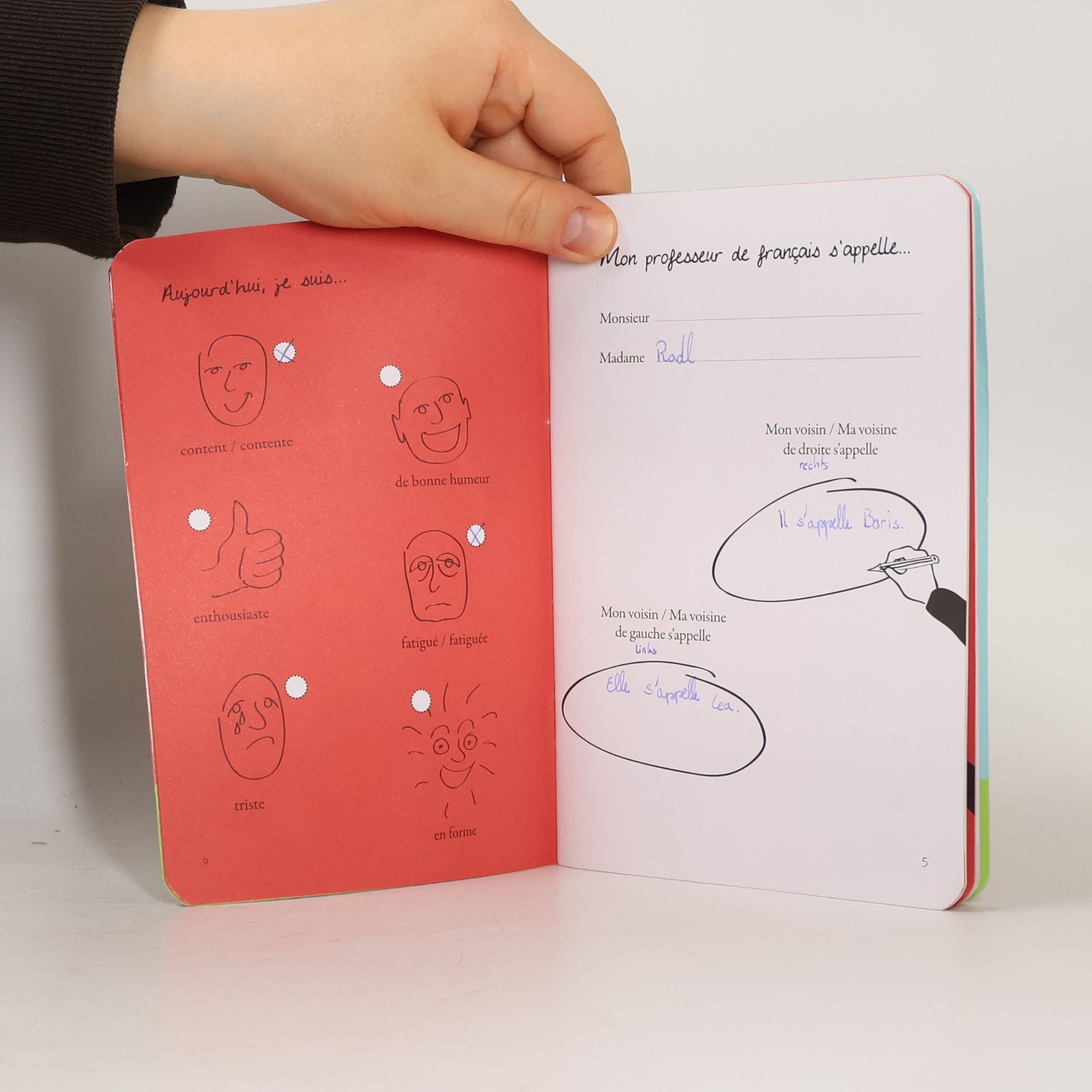 Michel Boiron Autoportrait français. Mon carnet personnel
