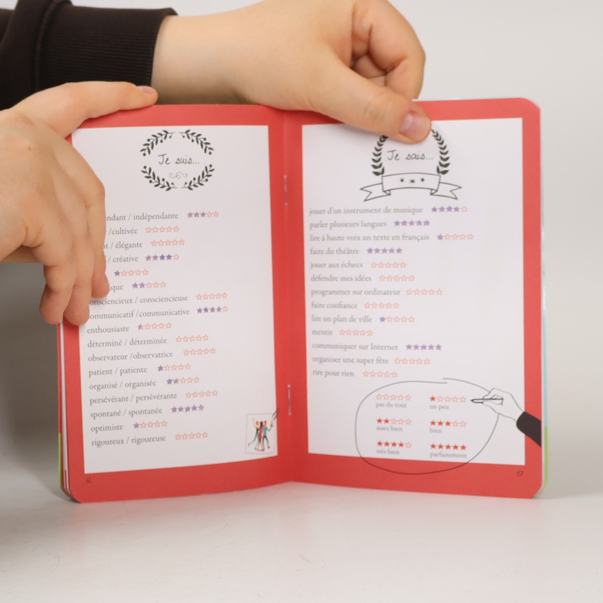 Michel Boiron Autoportrait français. Mon carnet personnel