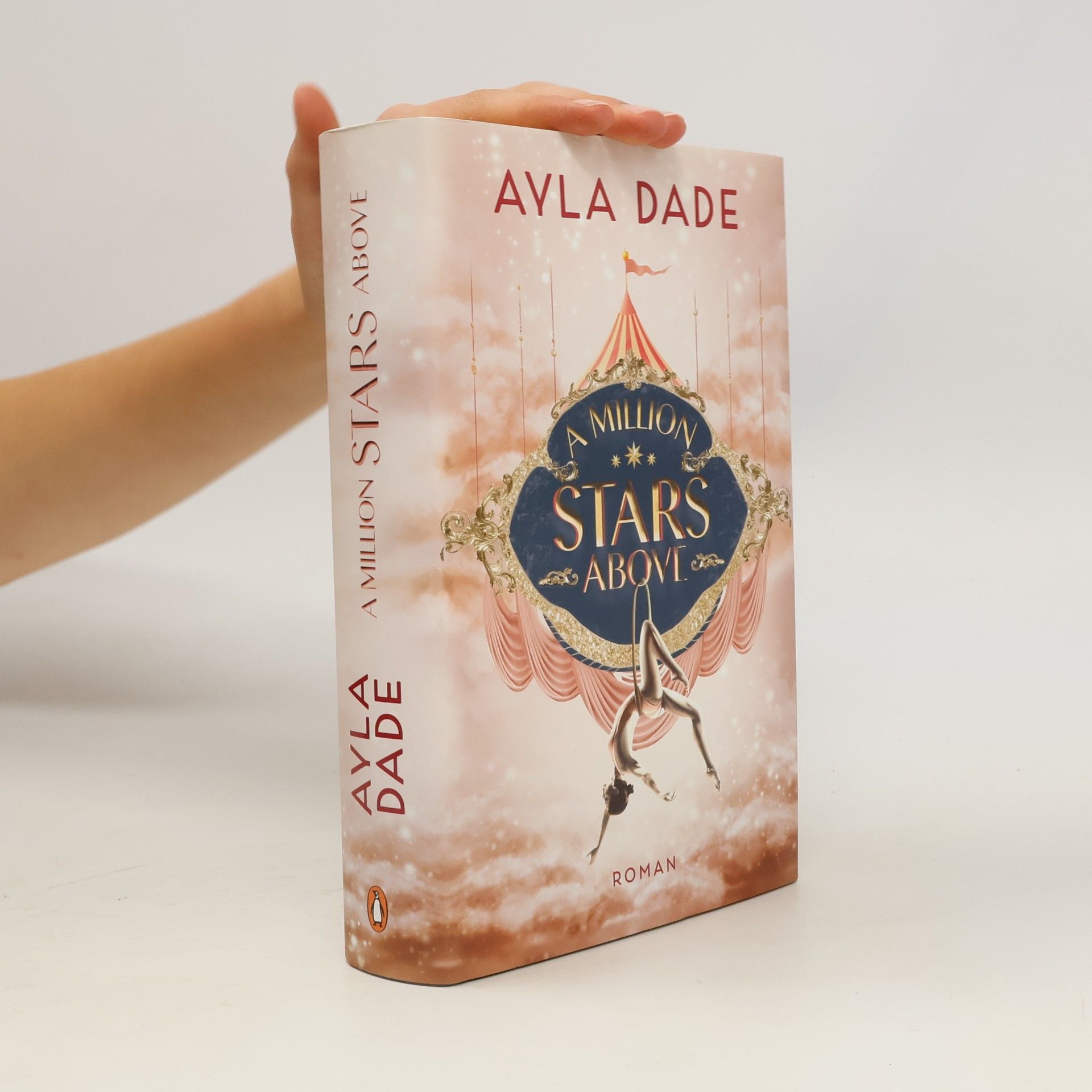 Ayla Dade A Million Stars Above