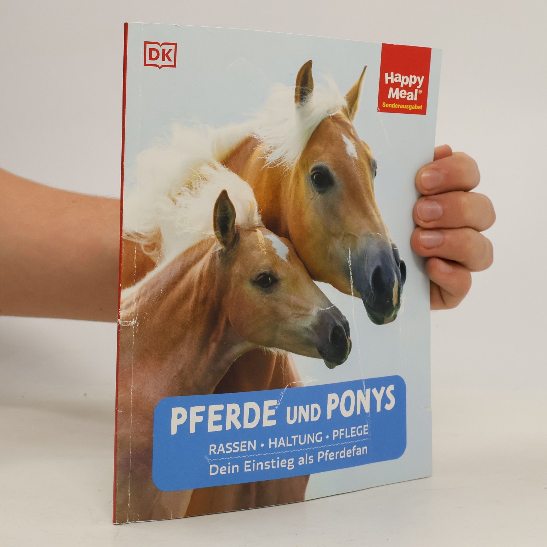 Bettina Borst Pferde und Ponys