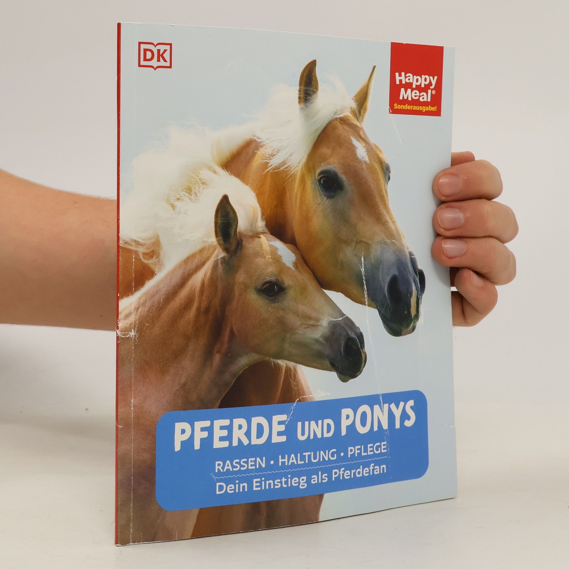 Bettina Borst Pferde und Ponys