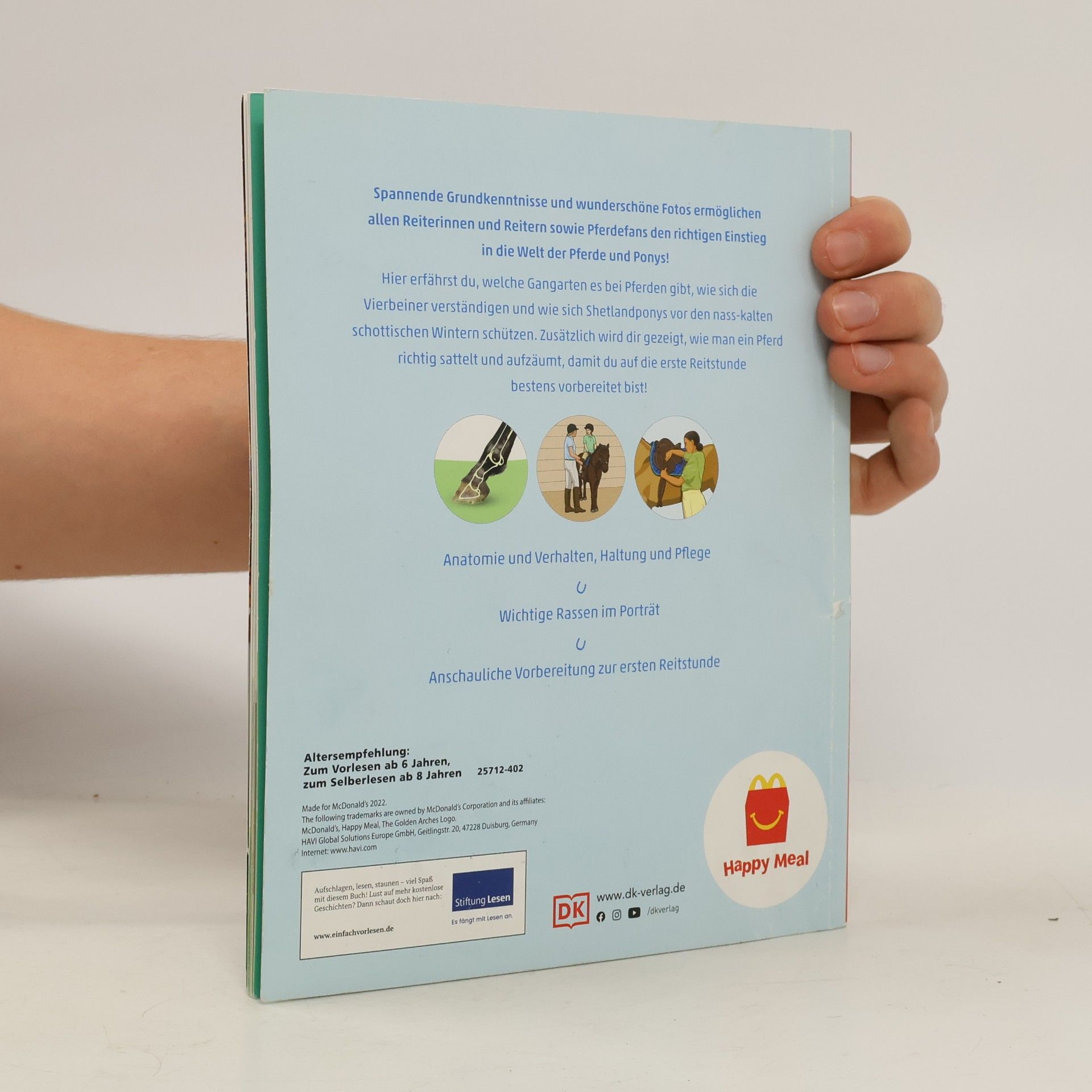 Bettina Borst Pferde und Ponys