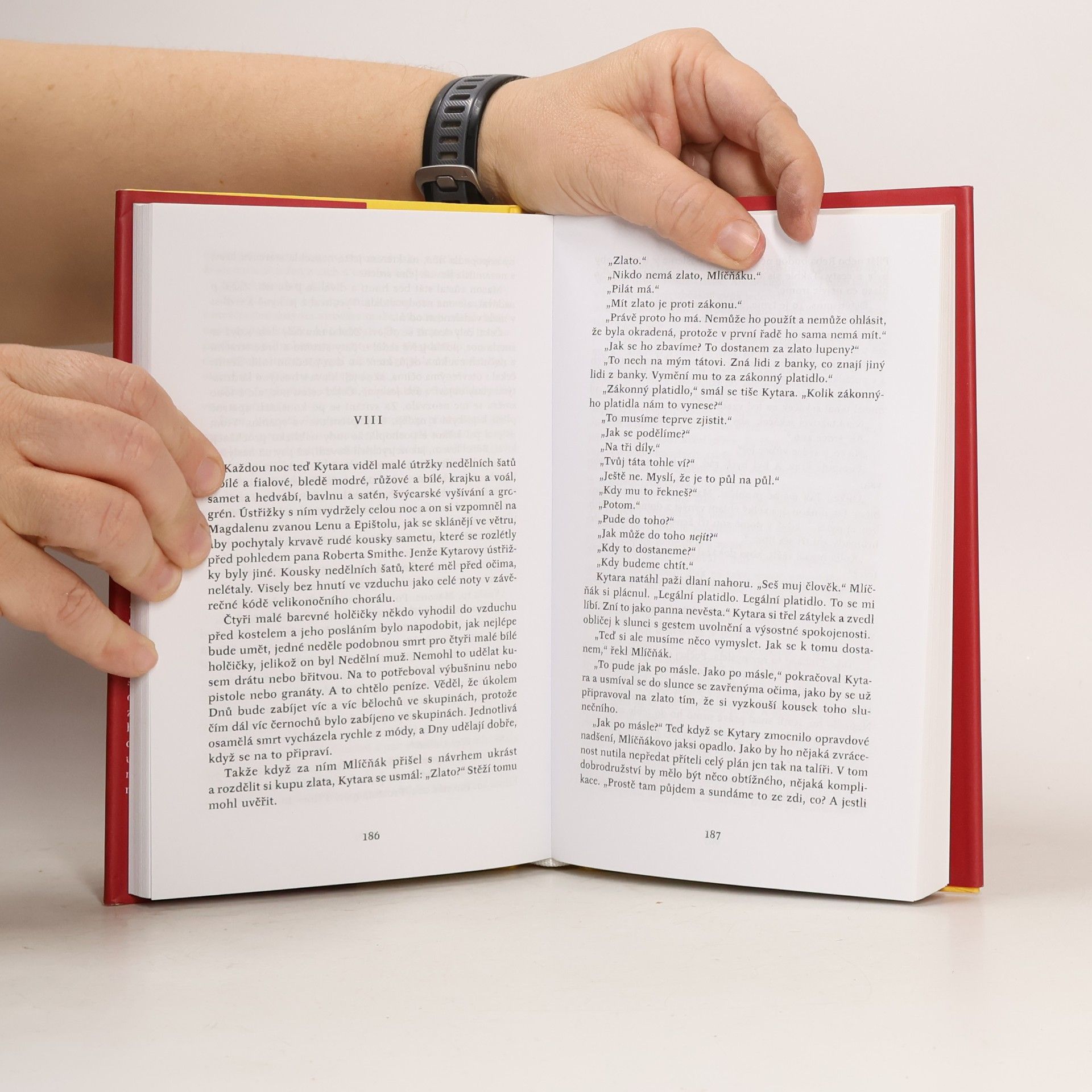 Toni Morrison Šalomounova píseň