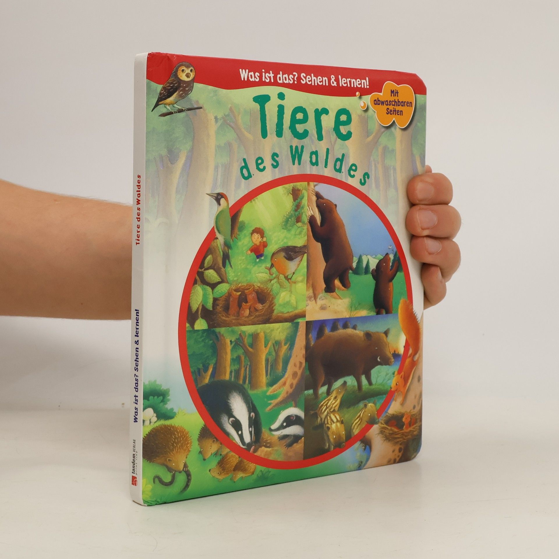 Collectif d'auteurs Tiere des Waldes