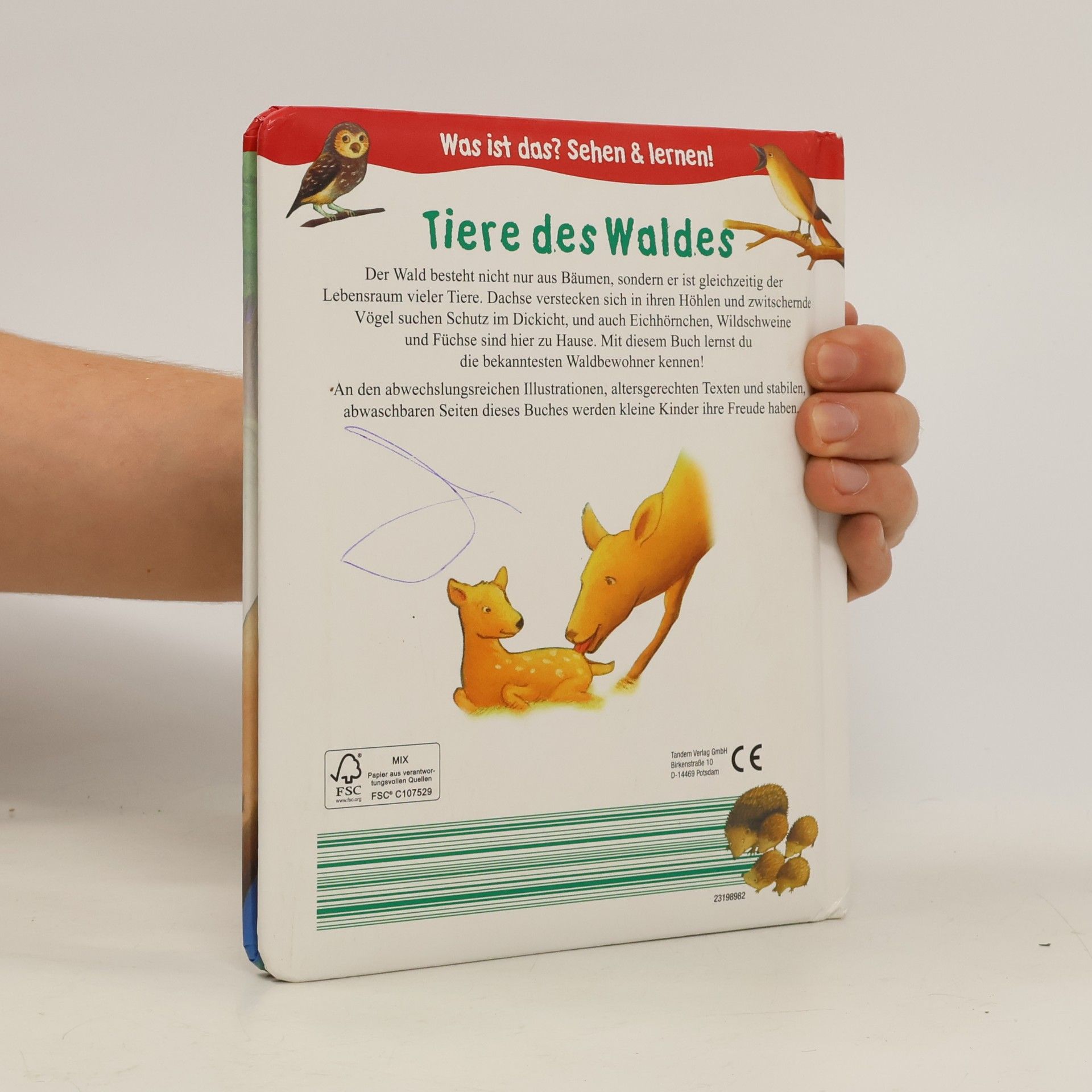 Autorenkollektiv Tiere des Waldes