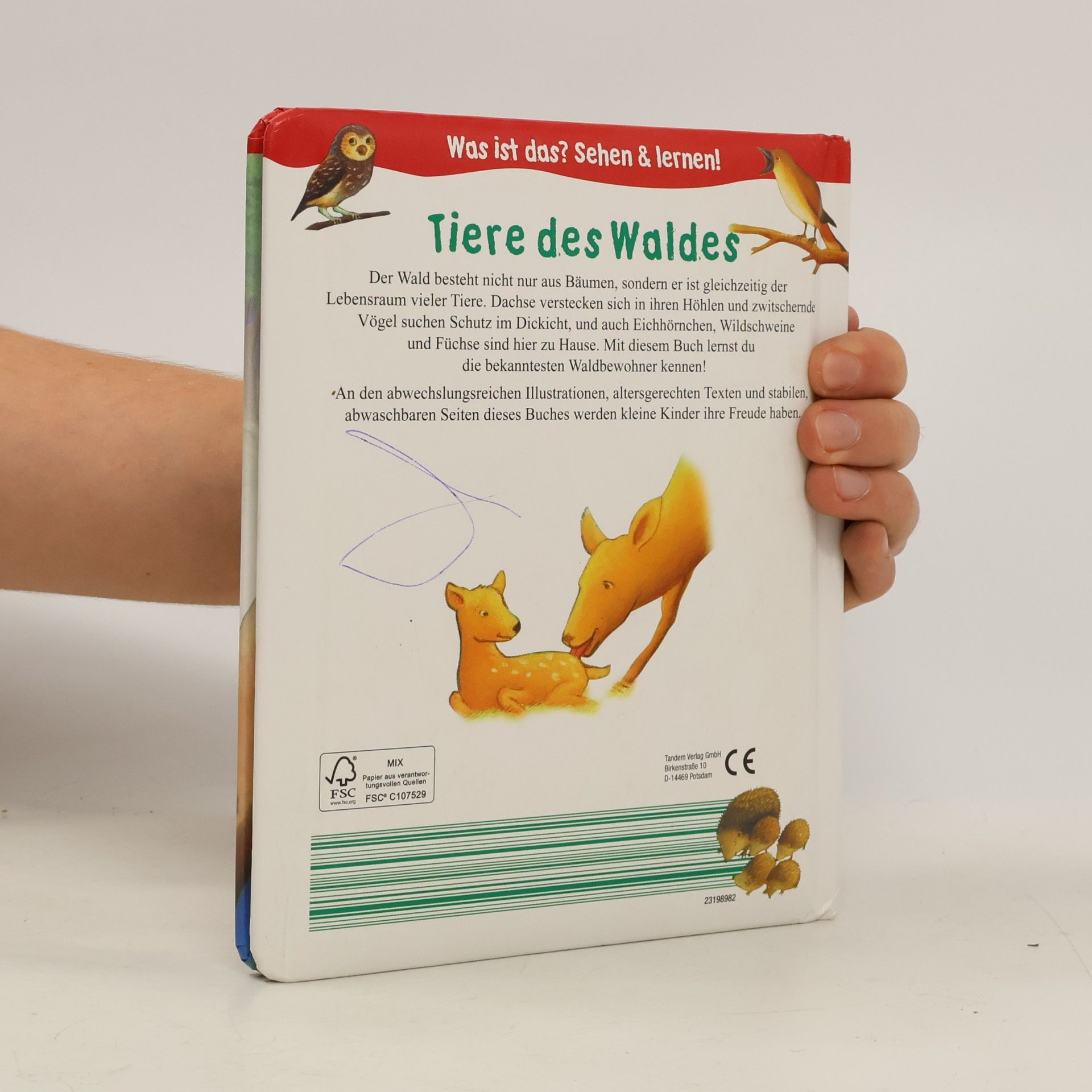Autorenkollektiv Tiere des Waldes