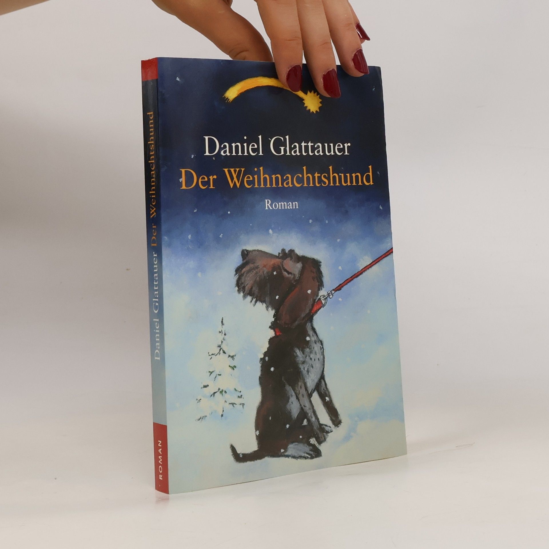 Daniel Glattauer Der Weihnachtshund