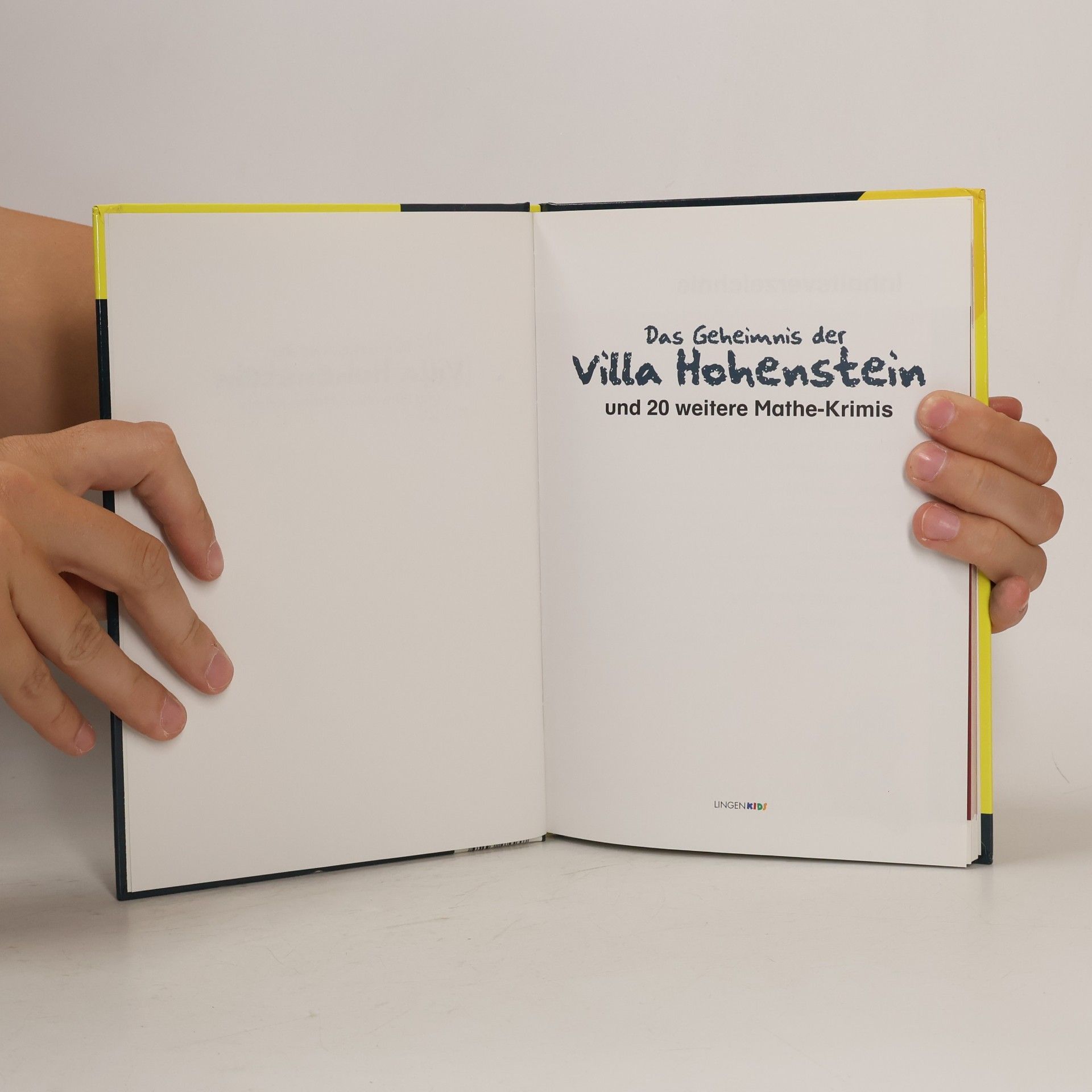 Katja Selig Das Geheimnis der Villa Hohenstein und 20 weitere Mathe-Krimis