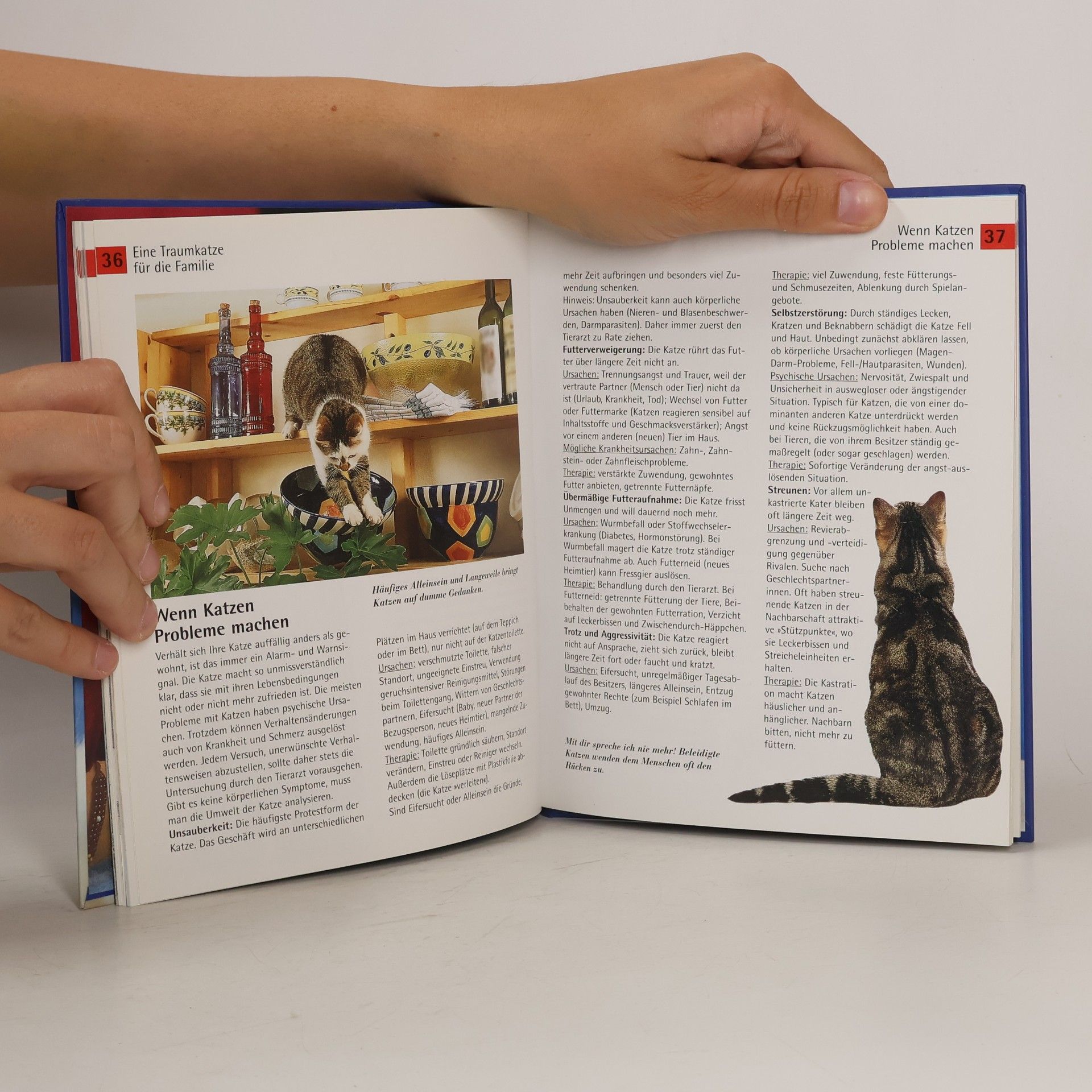 Autorenkollektiv Meine Katze. Farbige Tierratgeber