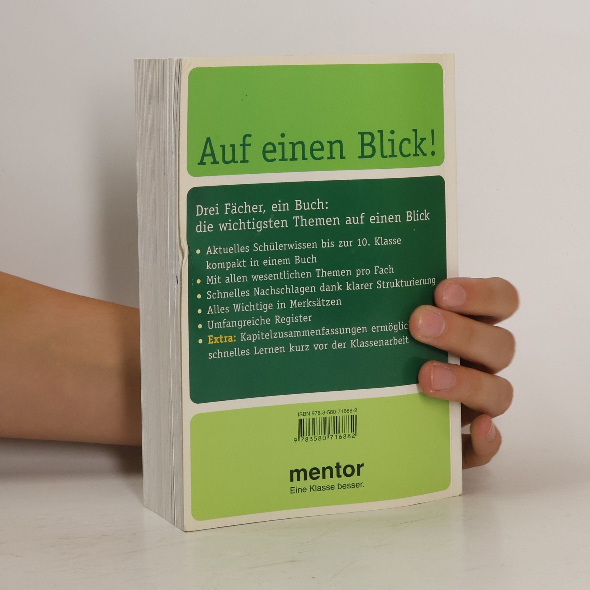 Alexander Geist Auf einen Blick! Deutsch, Englisch, Geschichte. Die wichtigsten Themen bis zur 10. Klasse