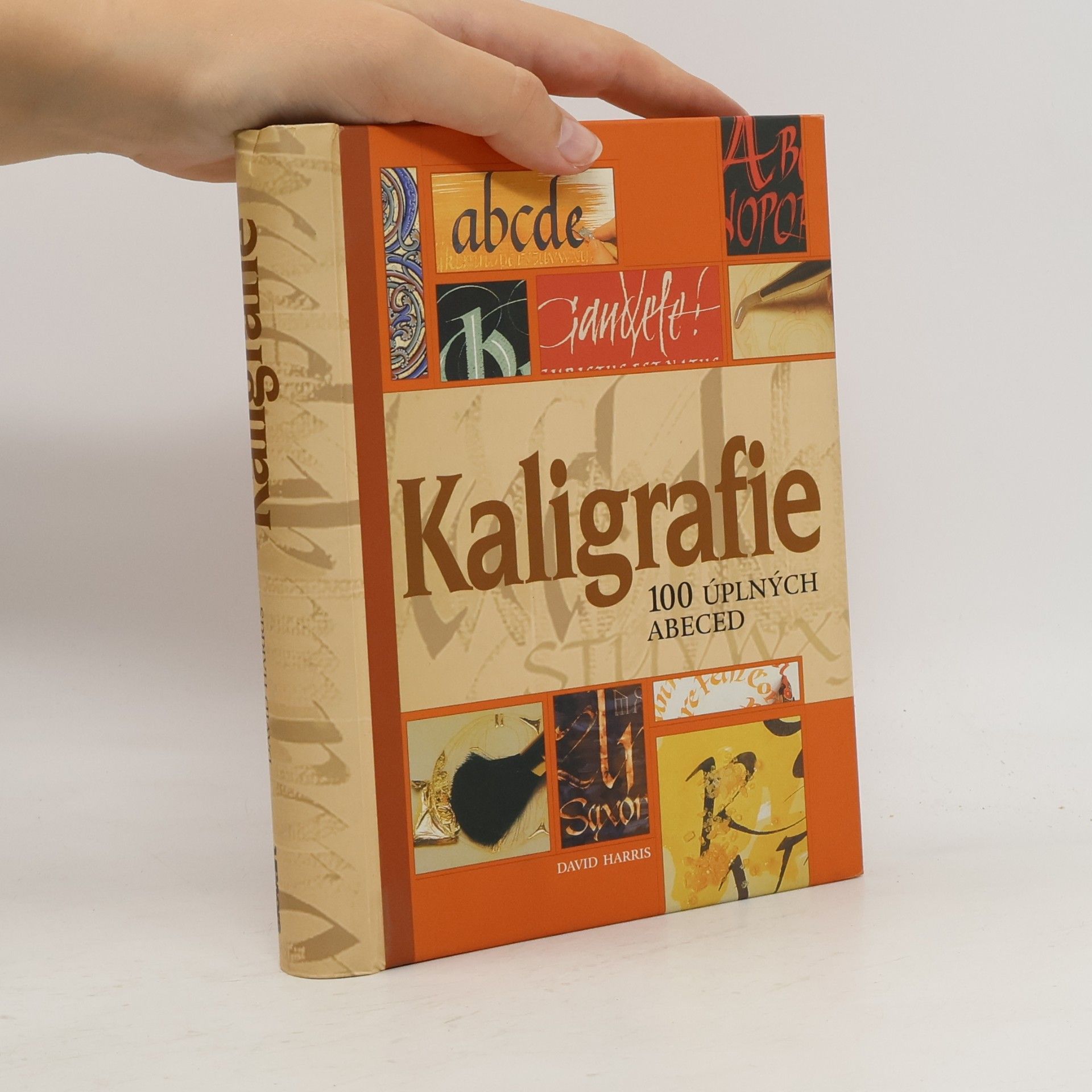 Mary Noble Kaligrafie : 100 úplných abeced: Podrobný a přehledný průvodce pro každého, kdo by se rád naučil umění krásného psaní