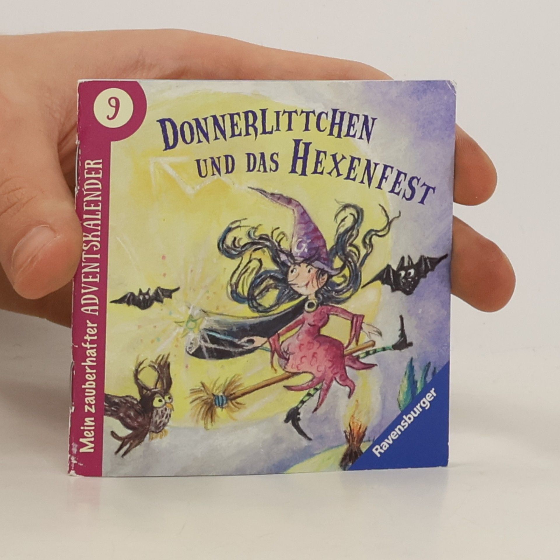Donnerlittchen und das Hexenfest 9