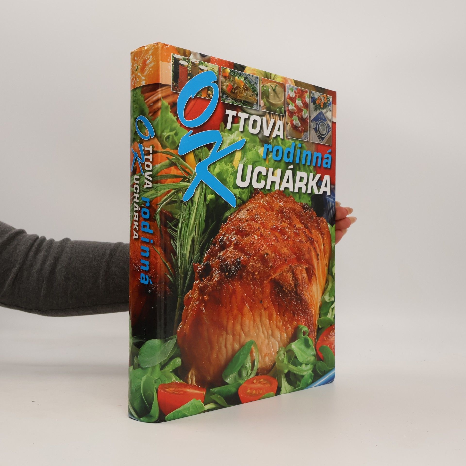 Collectif d'auteurs Ottova rodinná kuchárka