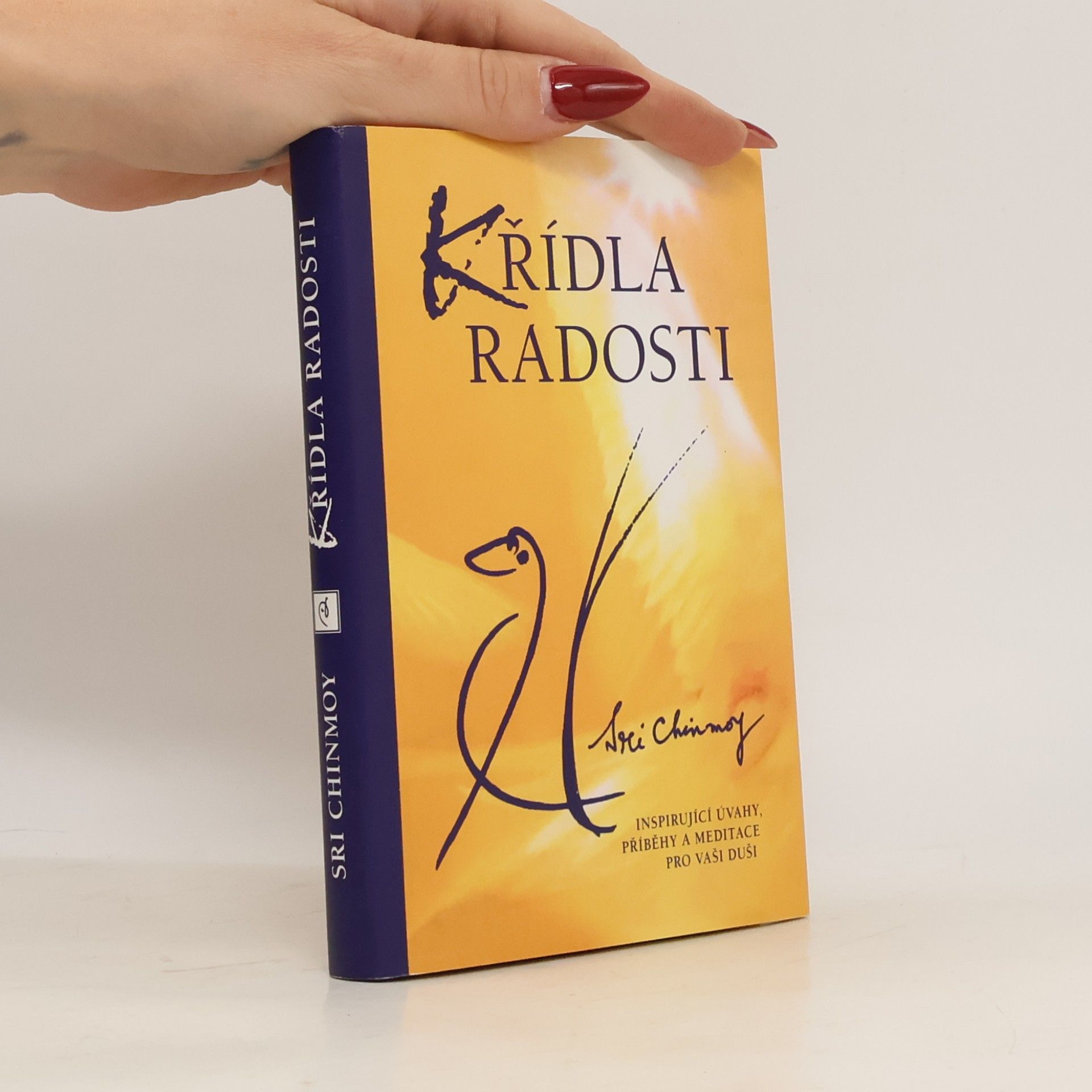 Chinmoy Křídla radosti