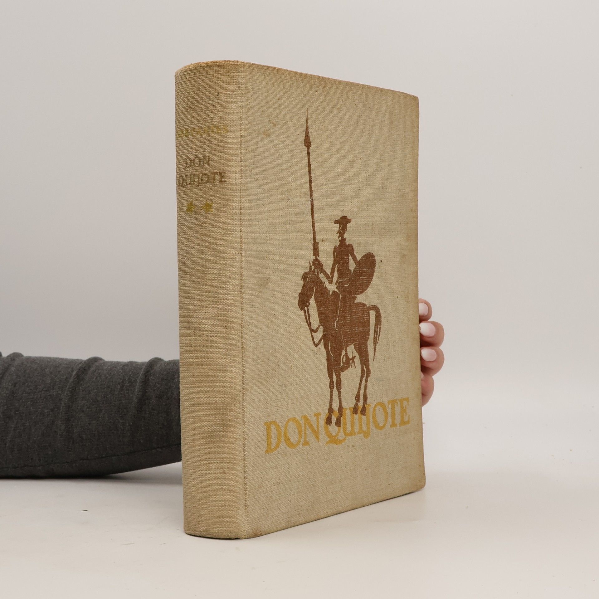 Miguel de Cervantes Saavedra Don Quijote 2