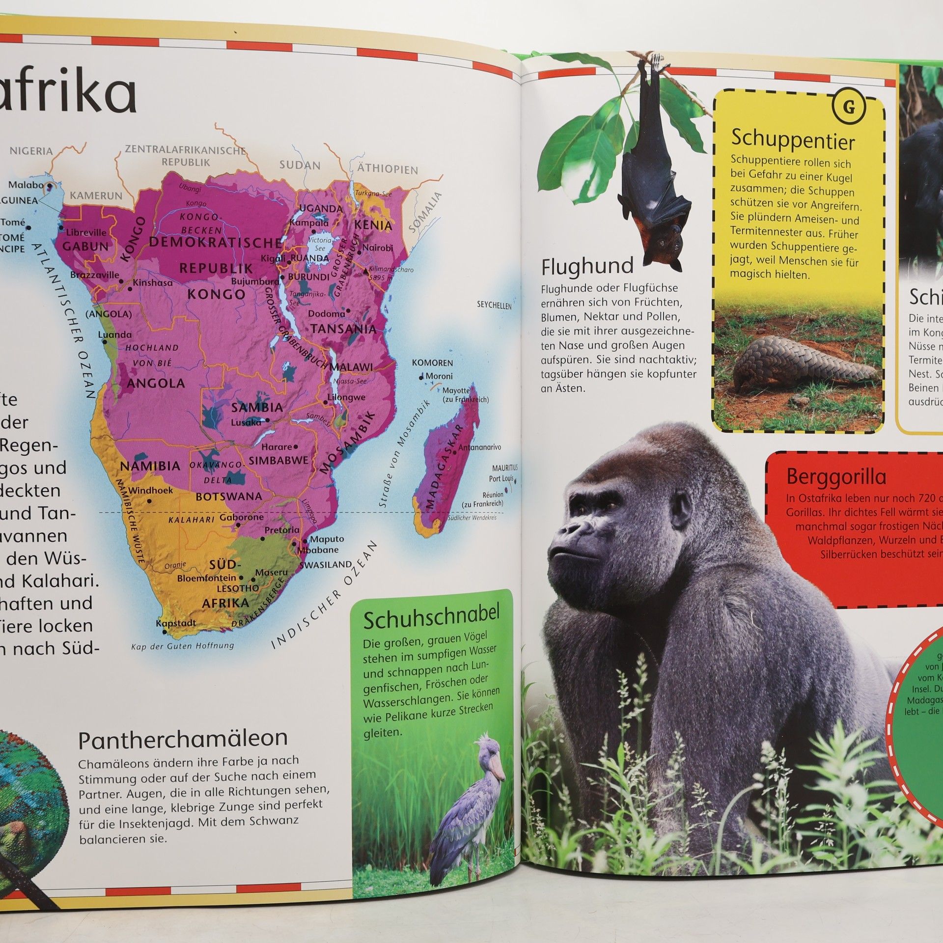 Mein toller Tieratlas