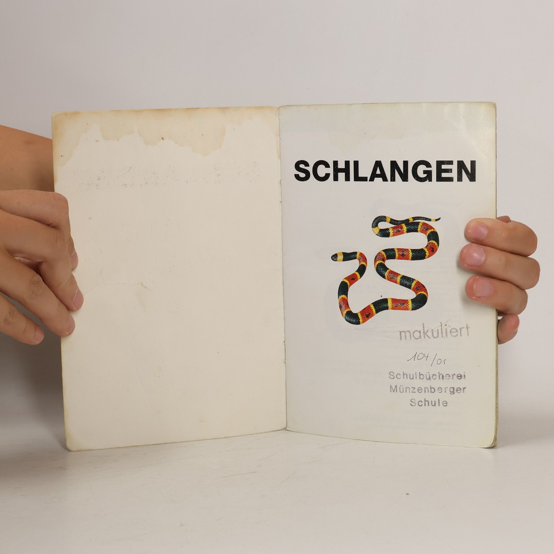 David Kirshner Investigate Schlangen