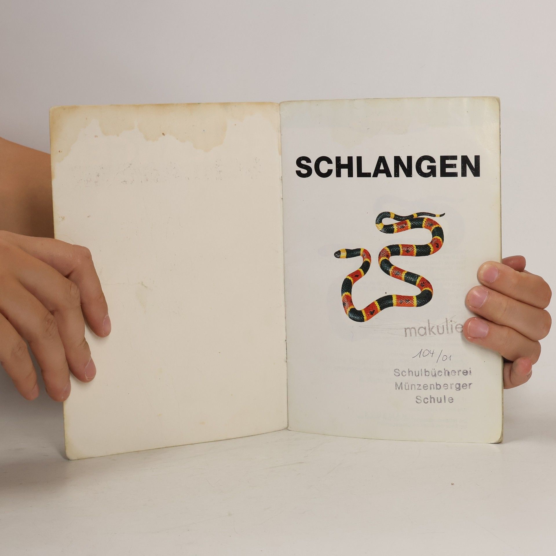 David Kirshner Investigate Schlangen