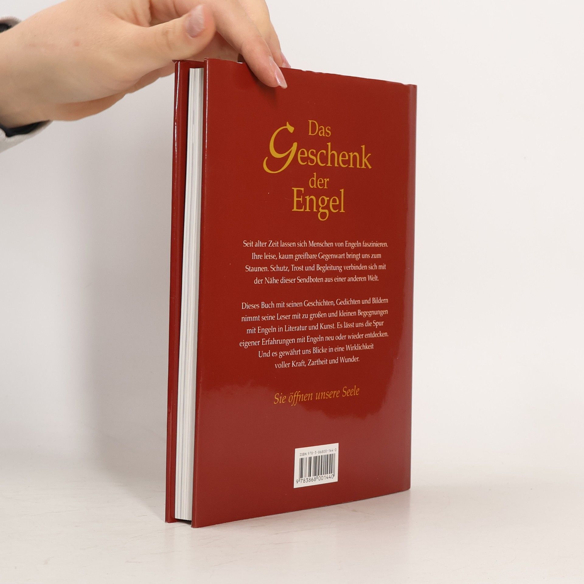 Julia Birkhäuser Das Geschenk der Engel