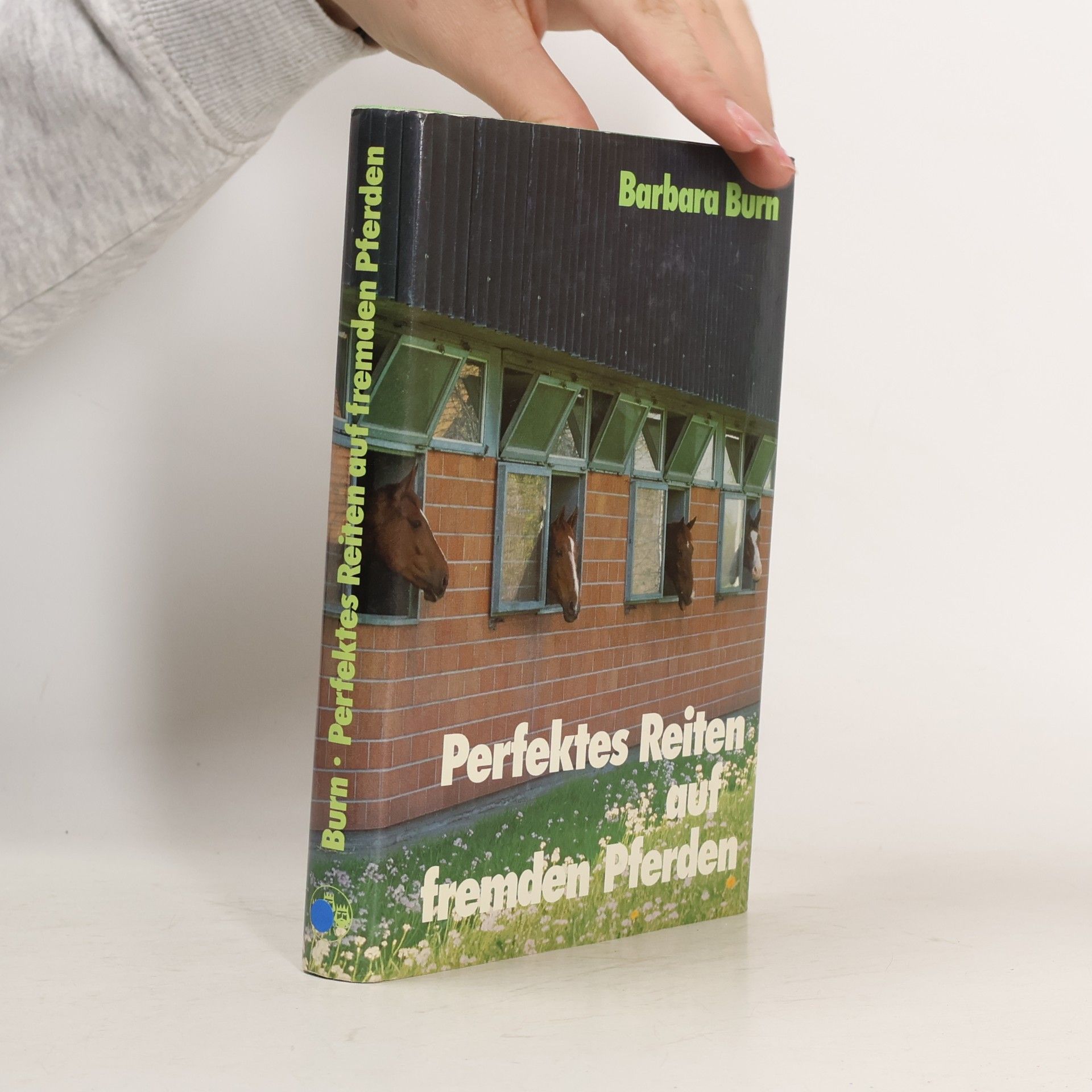 Perfektes Reiten auf fremden Pferden