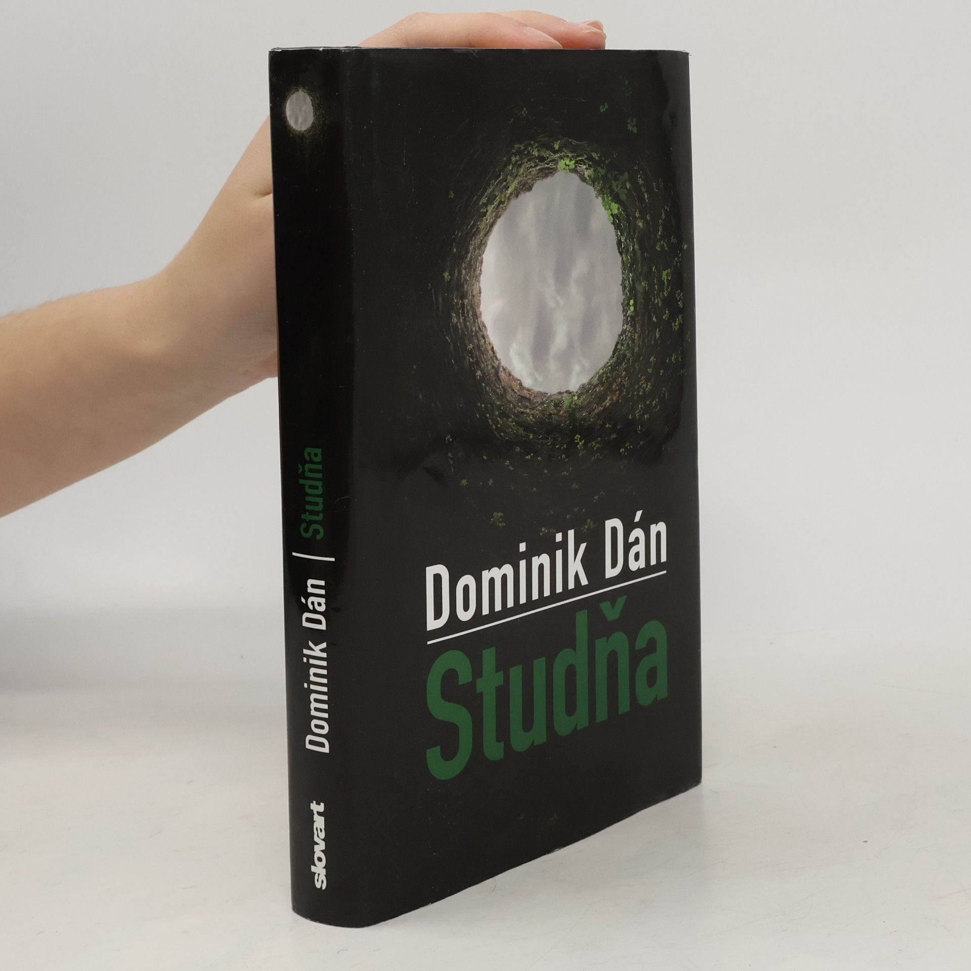 Dominik Dán Studňa