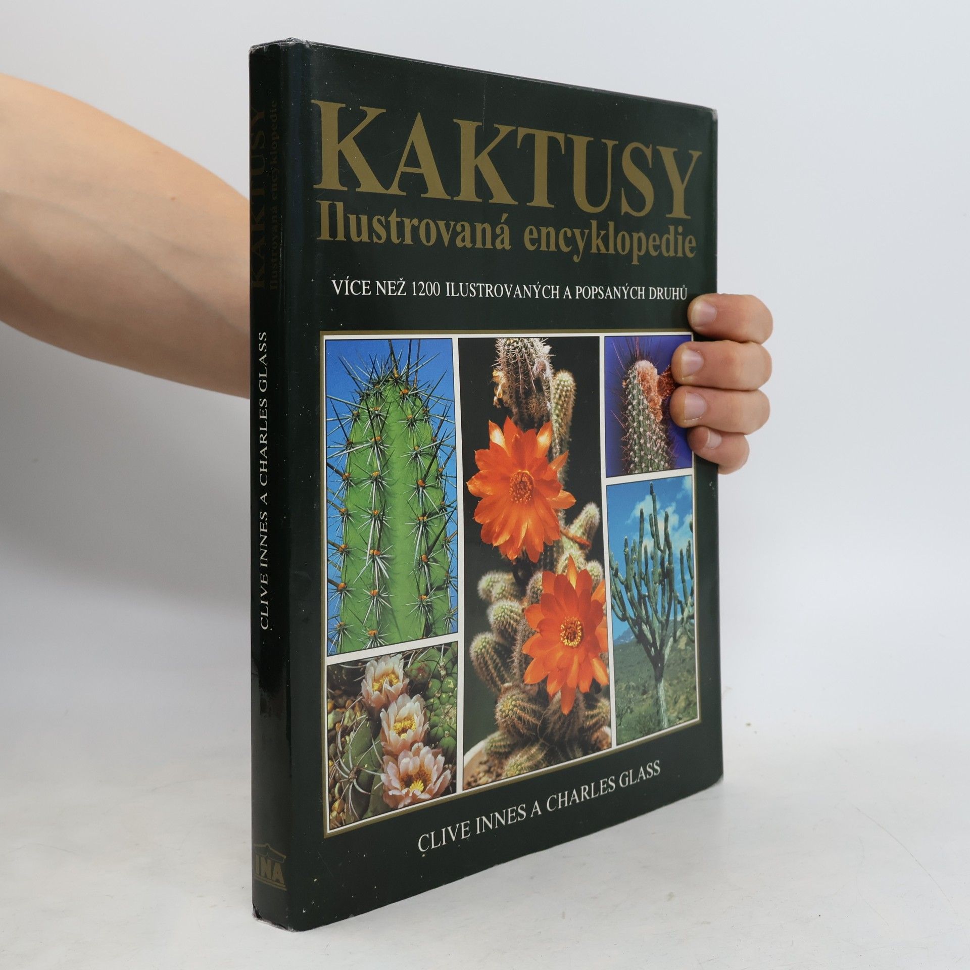 Clive Innes Kaktusy
