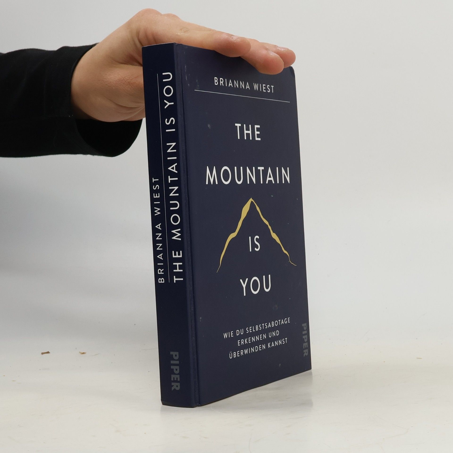 Brianna Wiest The Mountain Is You