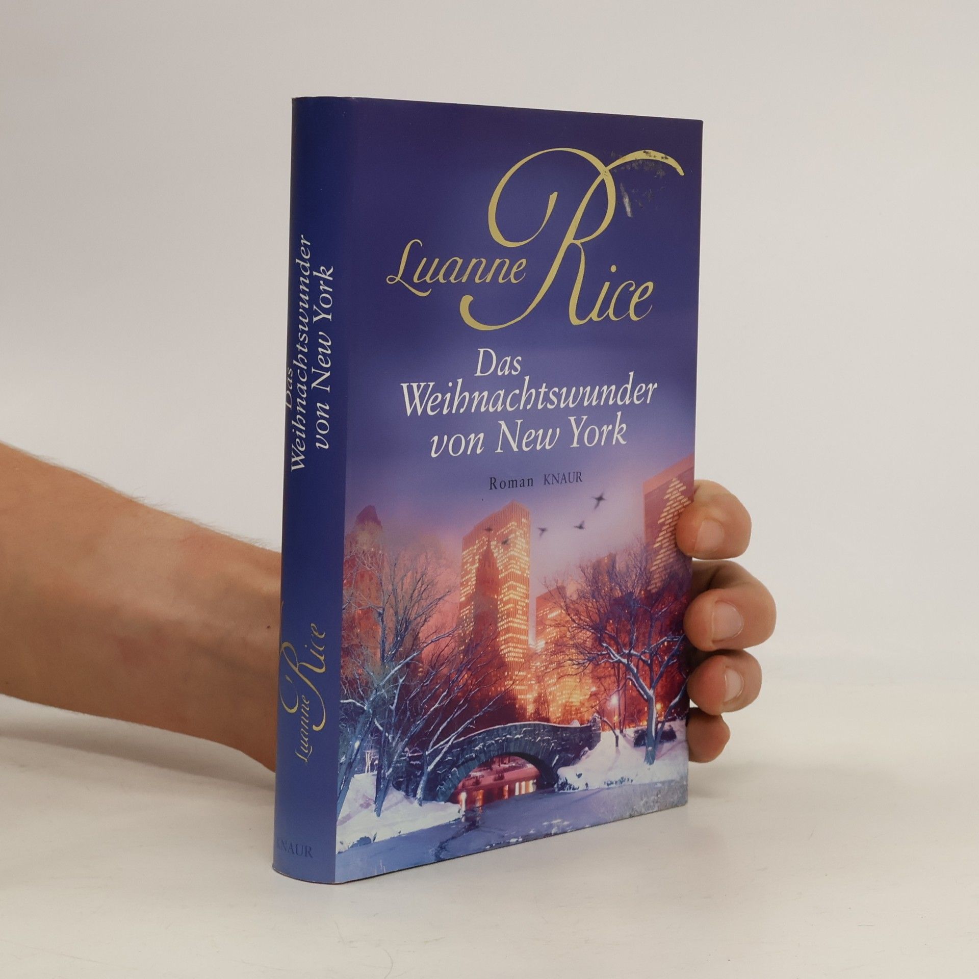 Luanne Rice Das Weihnachtswunder von New York. Roman