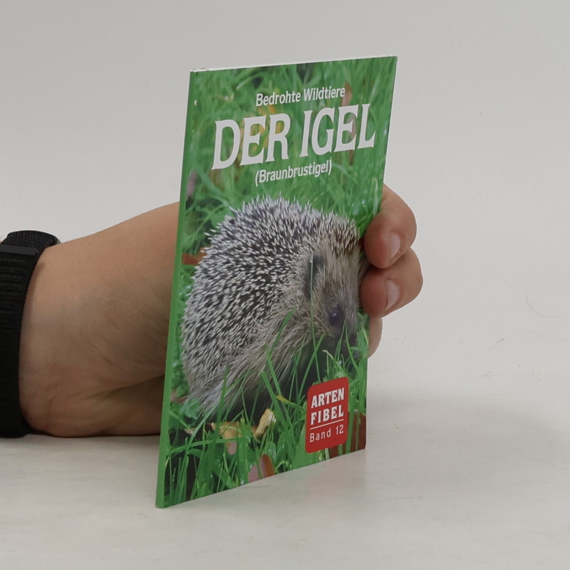 kolektiv Der igel