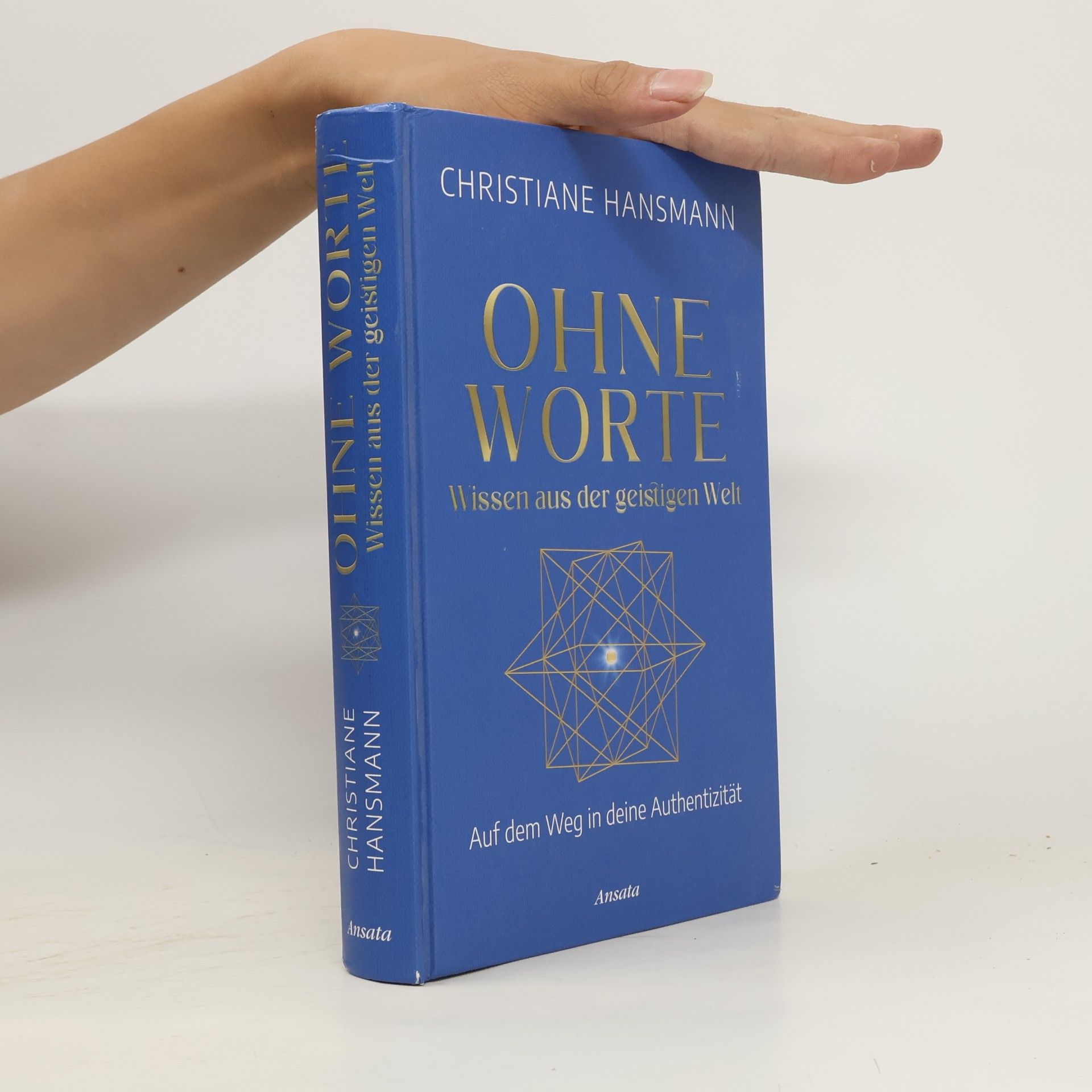 Christiane Hansmann Ohne Worte - Wissen aus der geistigen Welt