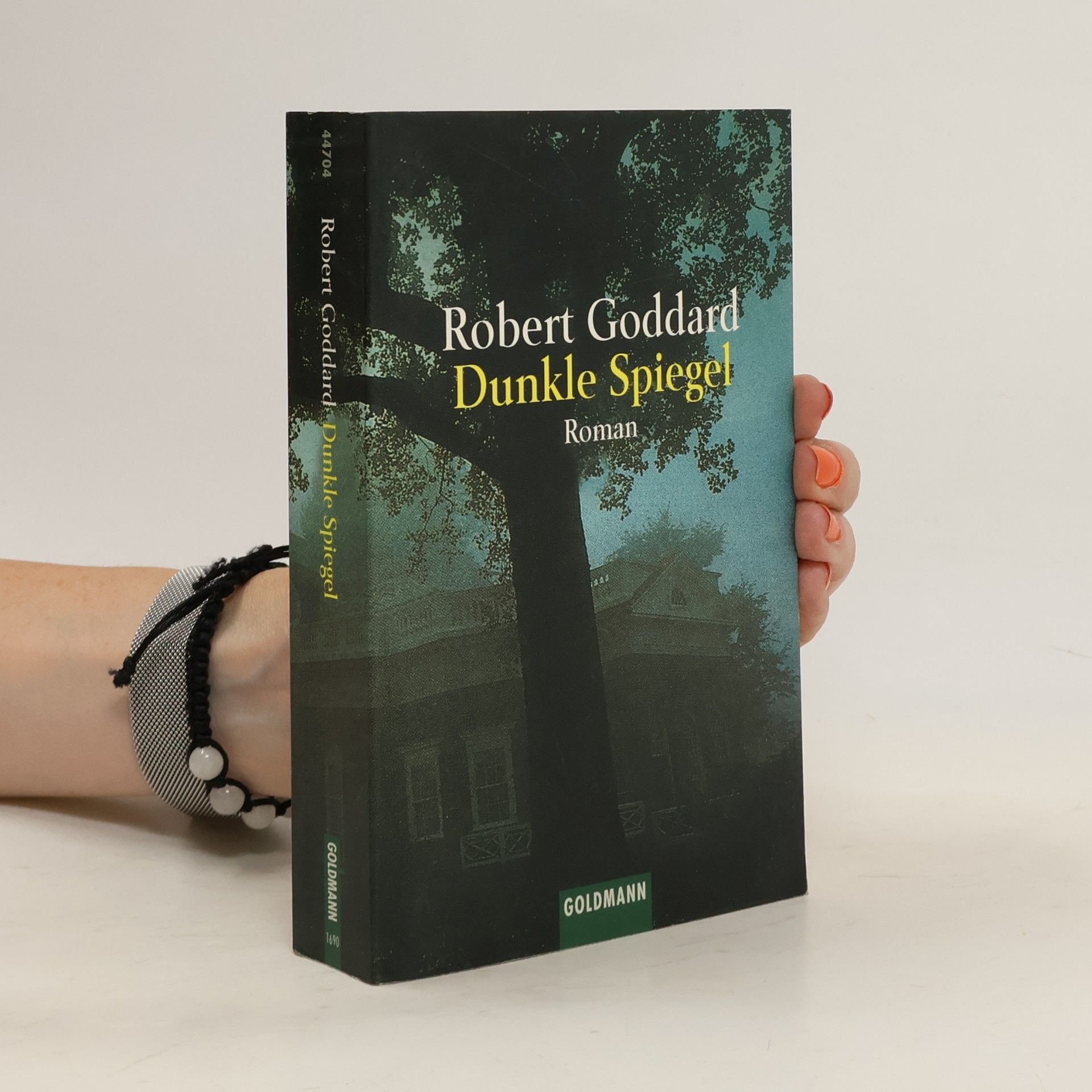 Robert Goddard Dunkle Spiegel