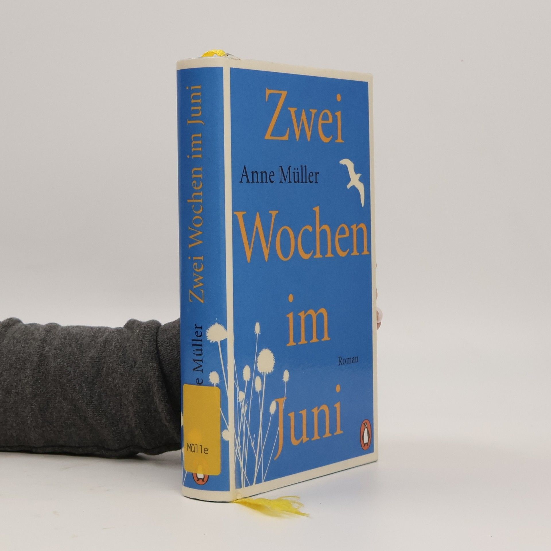 Anne Müller Zwei Wochen im Juni