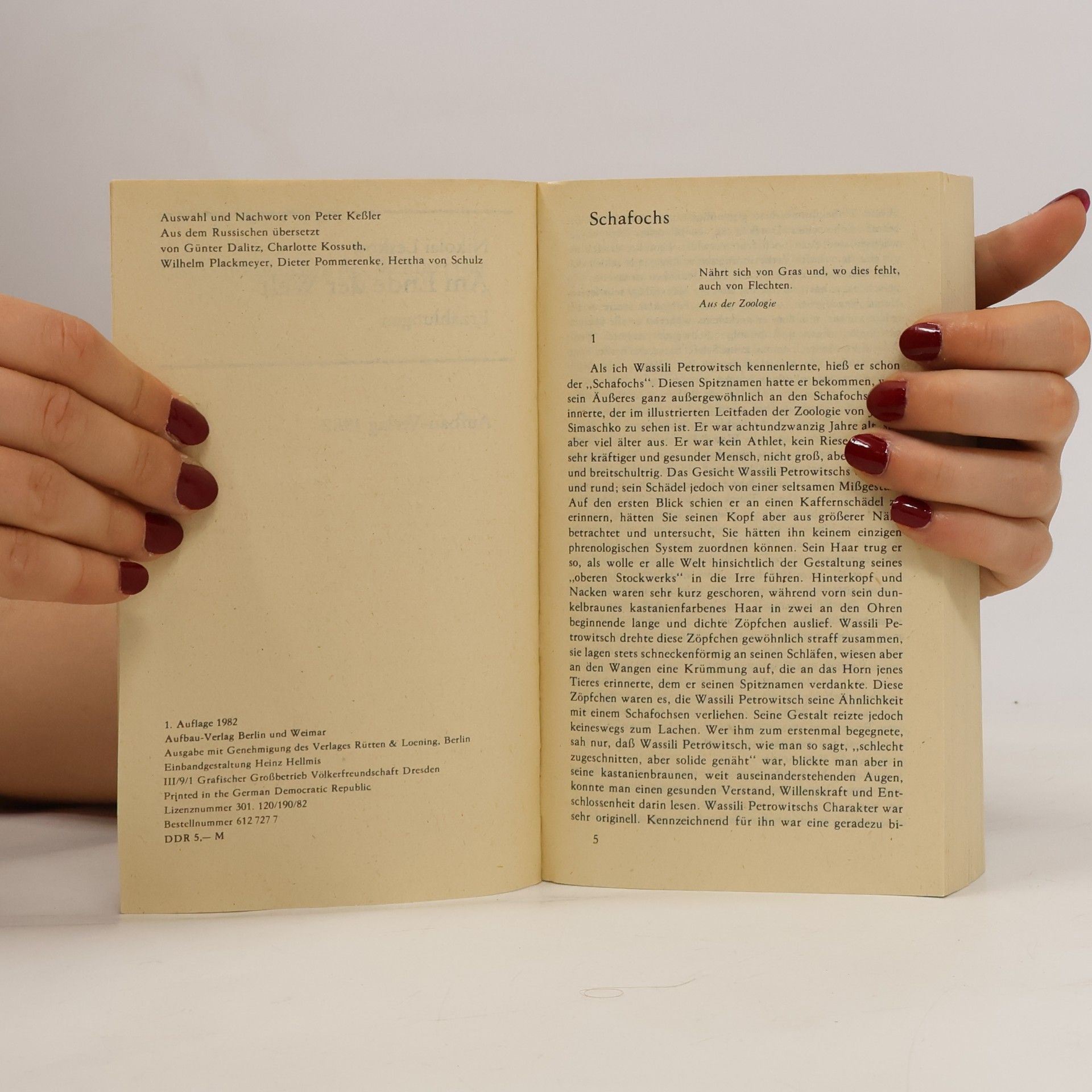 Nikolai Leskow Am Ende der Welt. Erzählungen