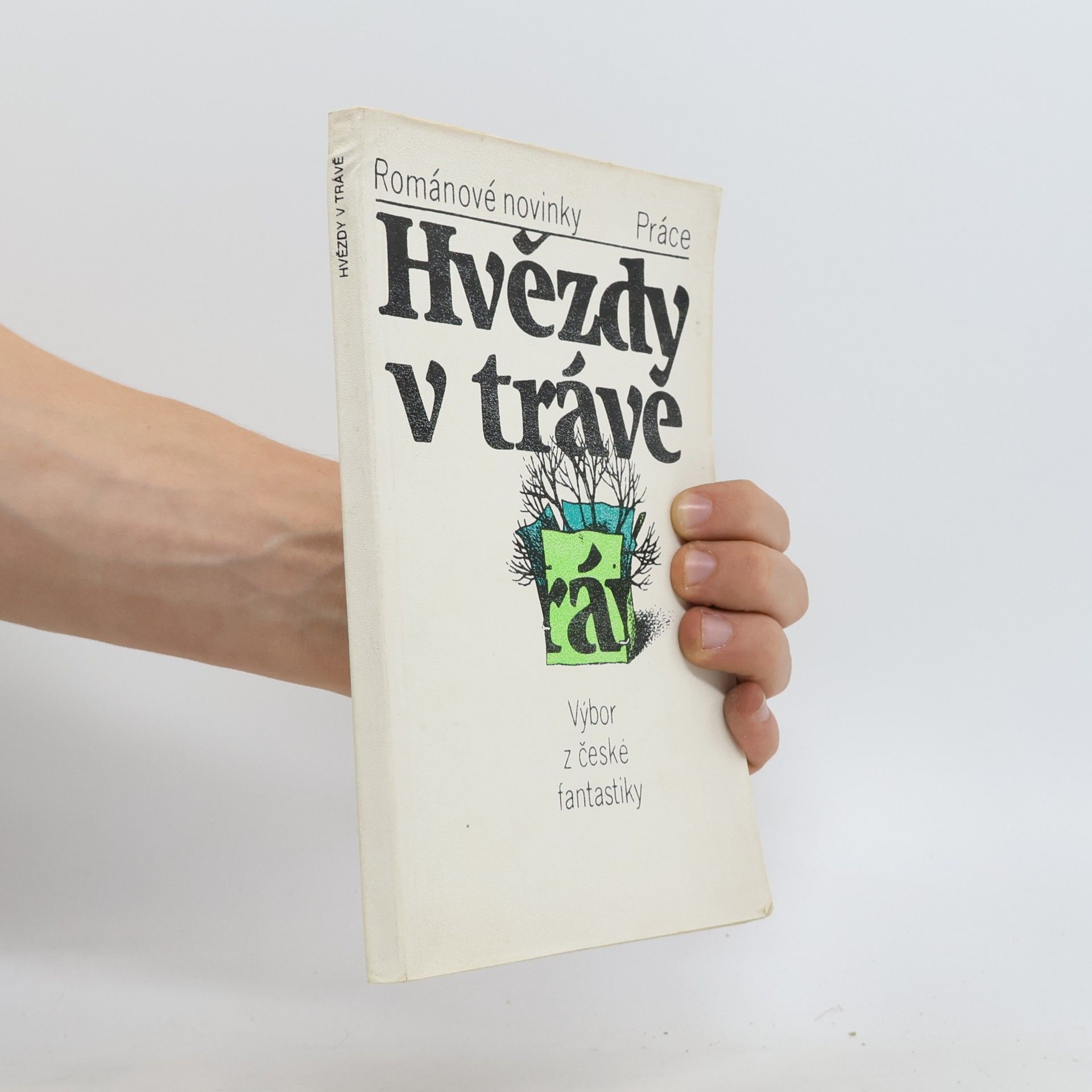 Hvězdy v trávě