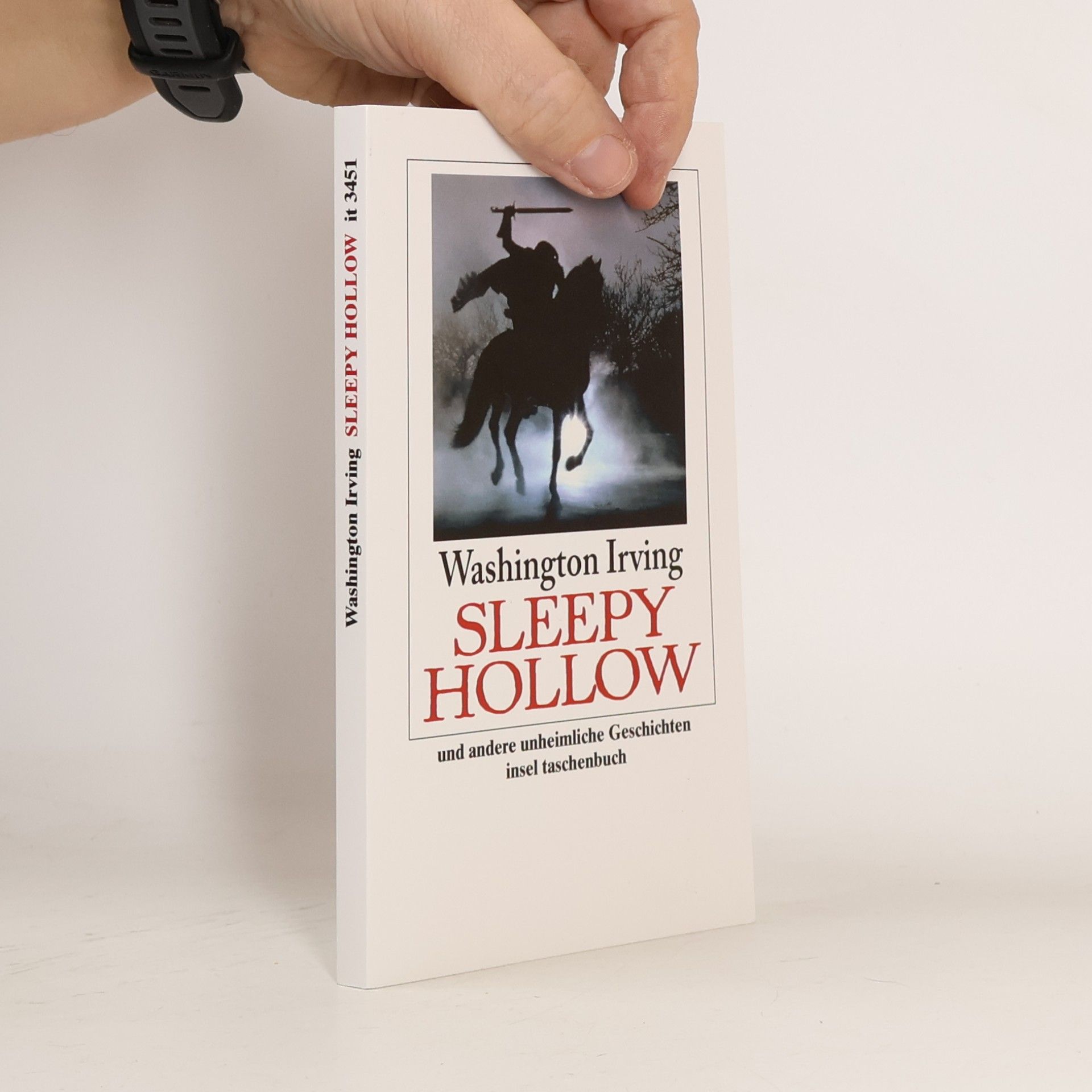Erika Gröger Insel Taschenbuch: Die Sage von Sleepy Hollow und andere unheimliche Geschichten