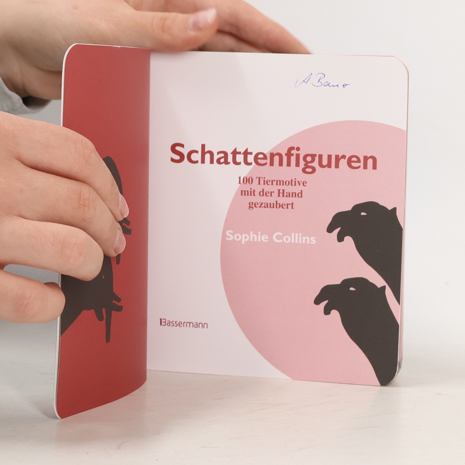 Sophie Collins Schattenfiguren - 100 Tiermotive mit der Hand gezaubert. Plus viele menschliche und gegenständliche Figuren für ganz großes Hand