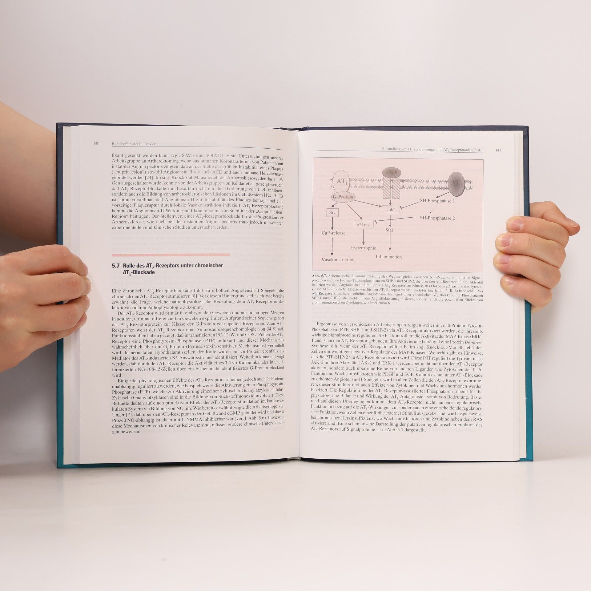 Peter Dominiak Angiotensin II AT1-Rezeptorantagonisten: Zweite, erweiterte und überarbeitete Auflage