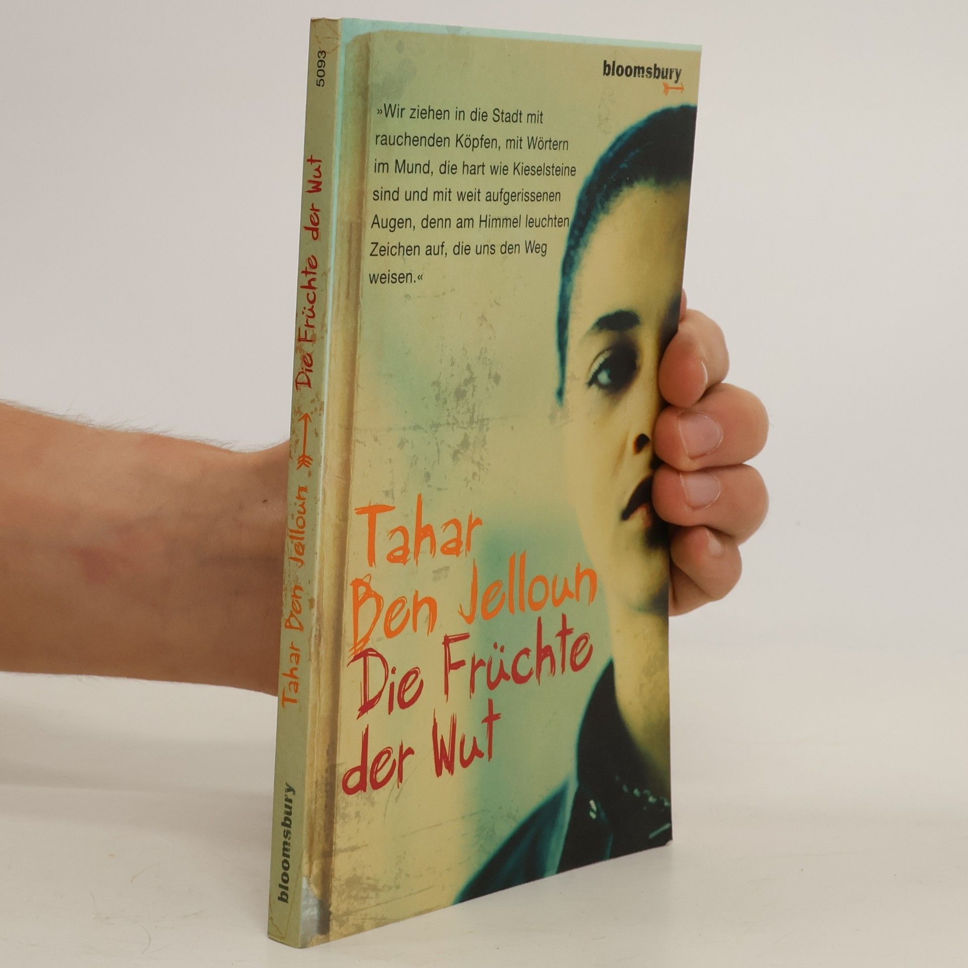 Tahar Ben Jelloun Die Früchte der Wut