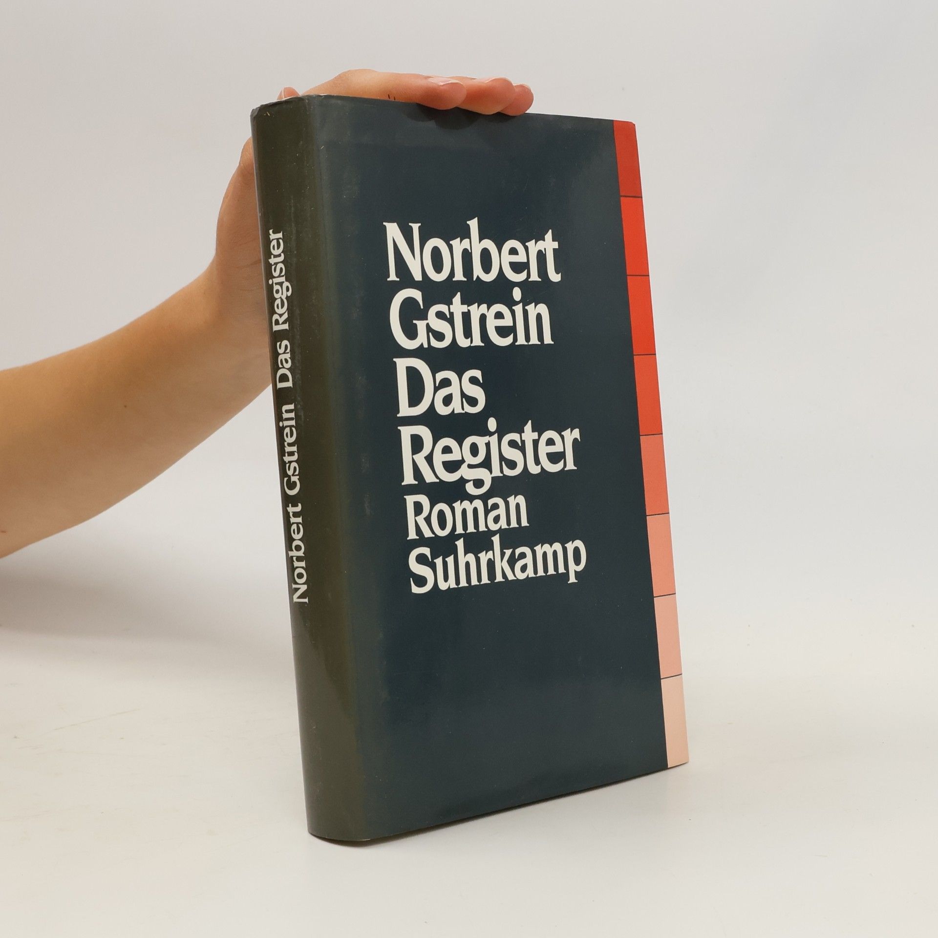 Norbert Gstrein Das Register