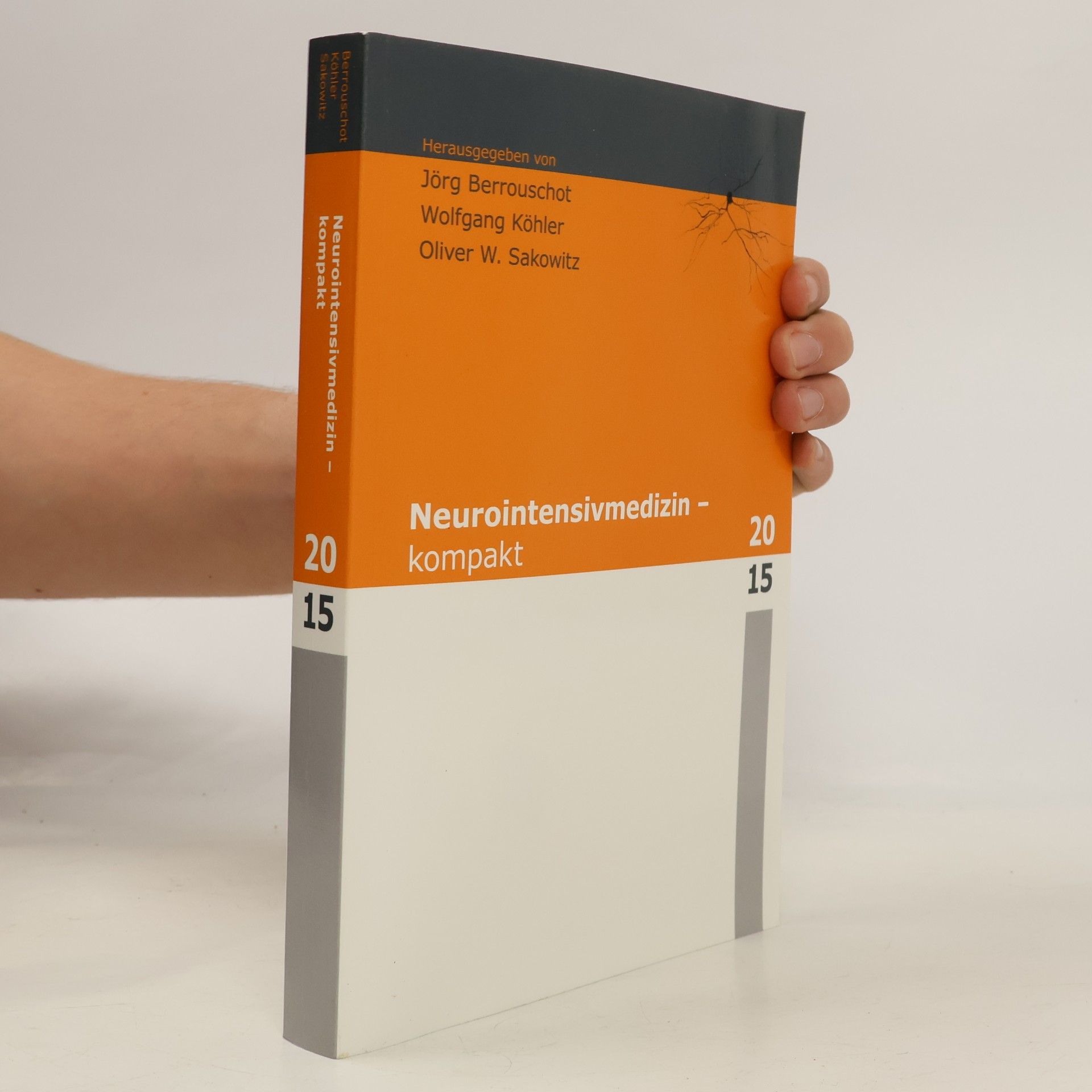 Jörg Berrouschot, Wolfgang Köhler u.a. Neurointensivmedizin - kompakt 2015