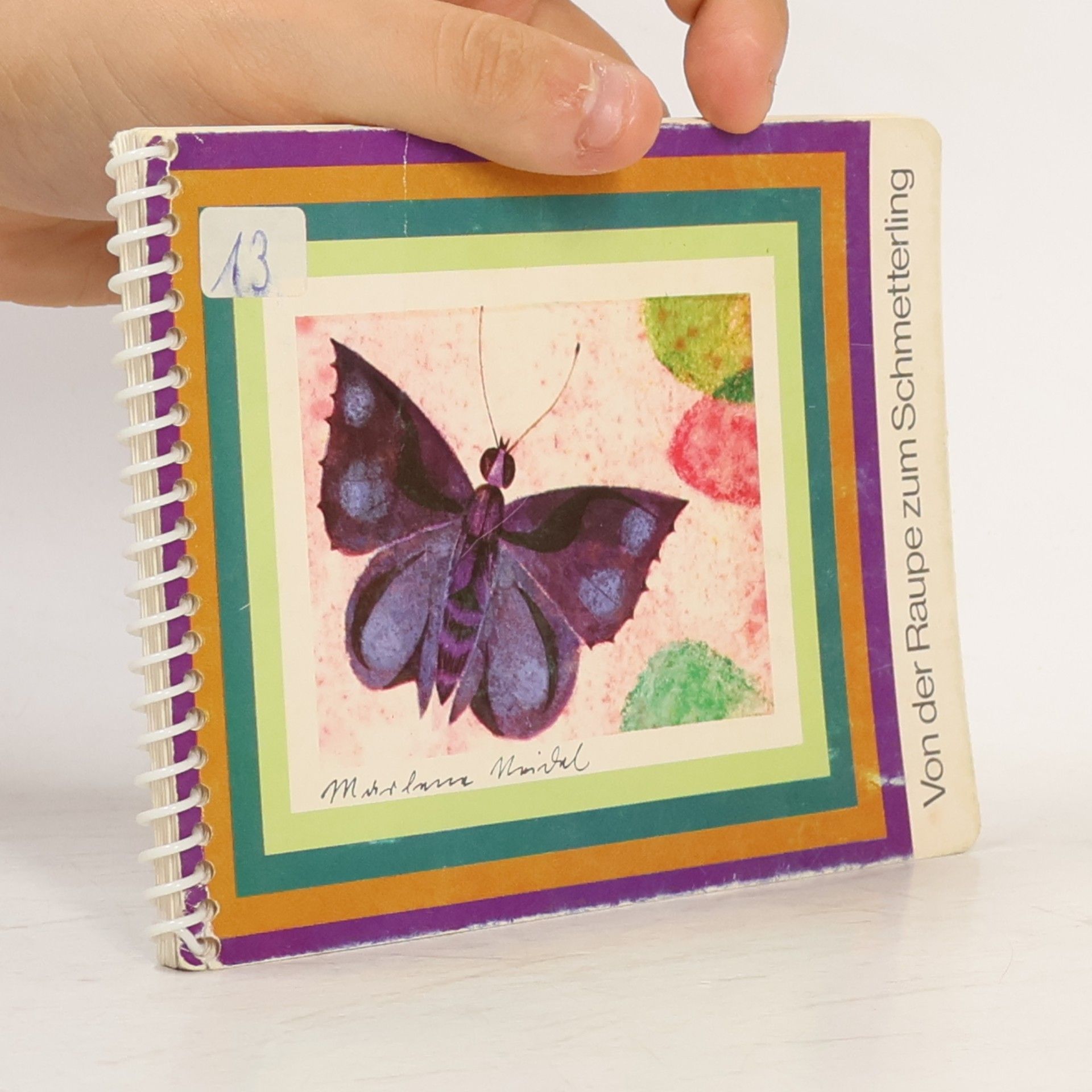 Von der Raupe zum Schmetterling