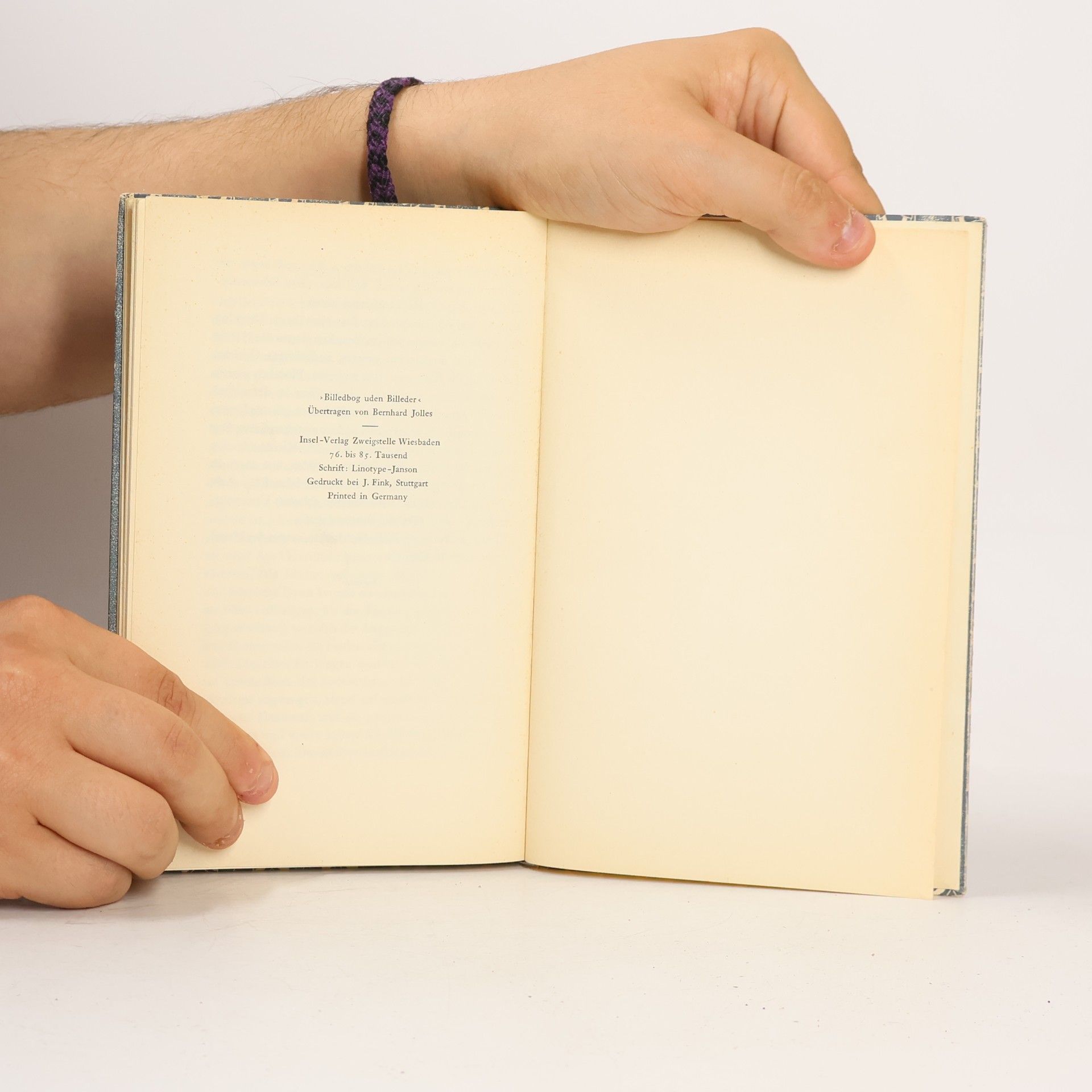 Hans Christian Andersen Bilderbuch ohne Bilder