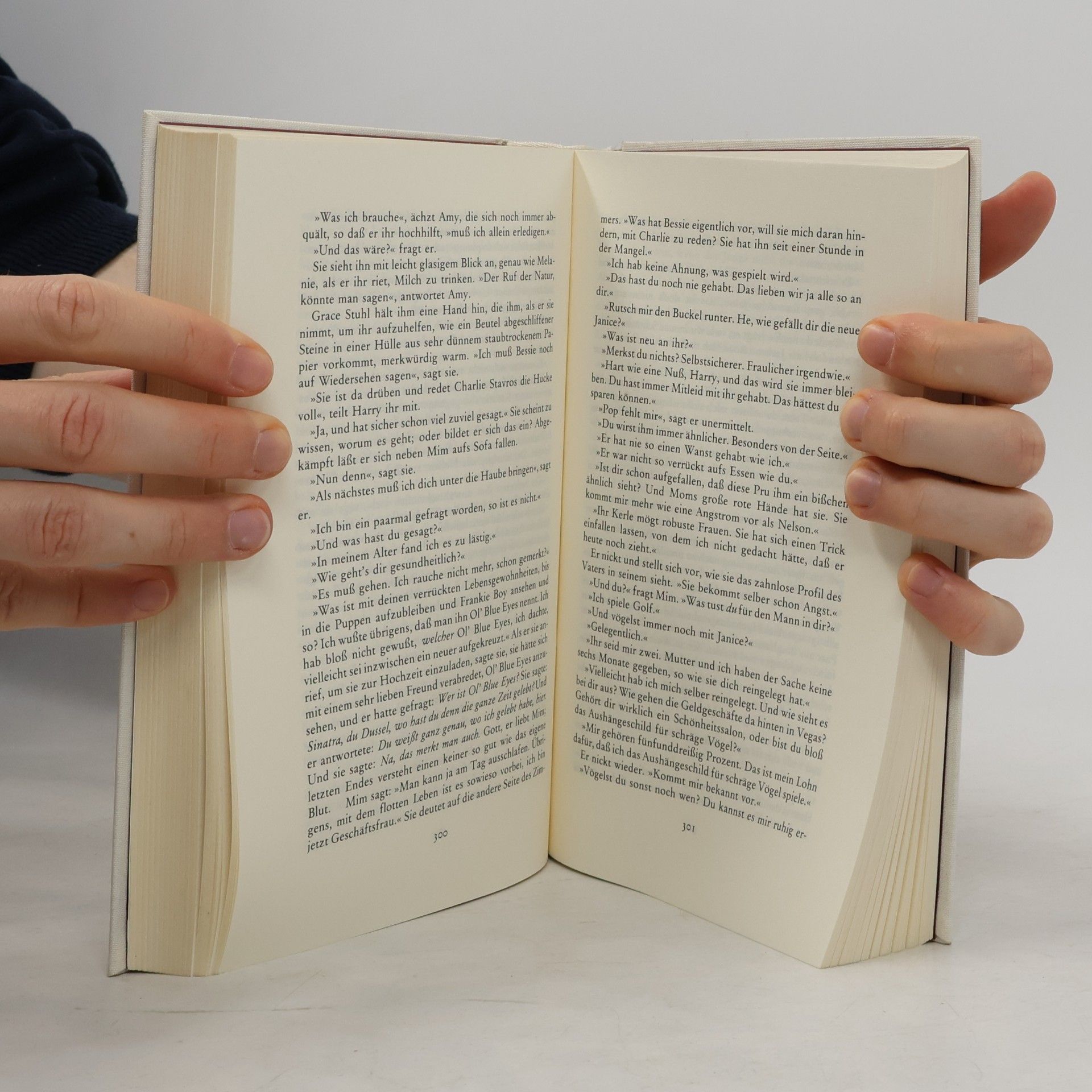 John Updike Bessere Verhältnisse