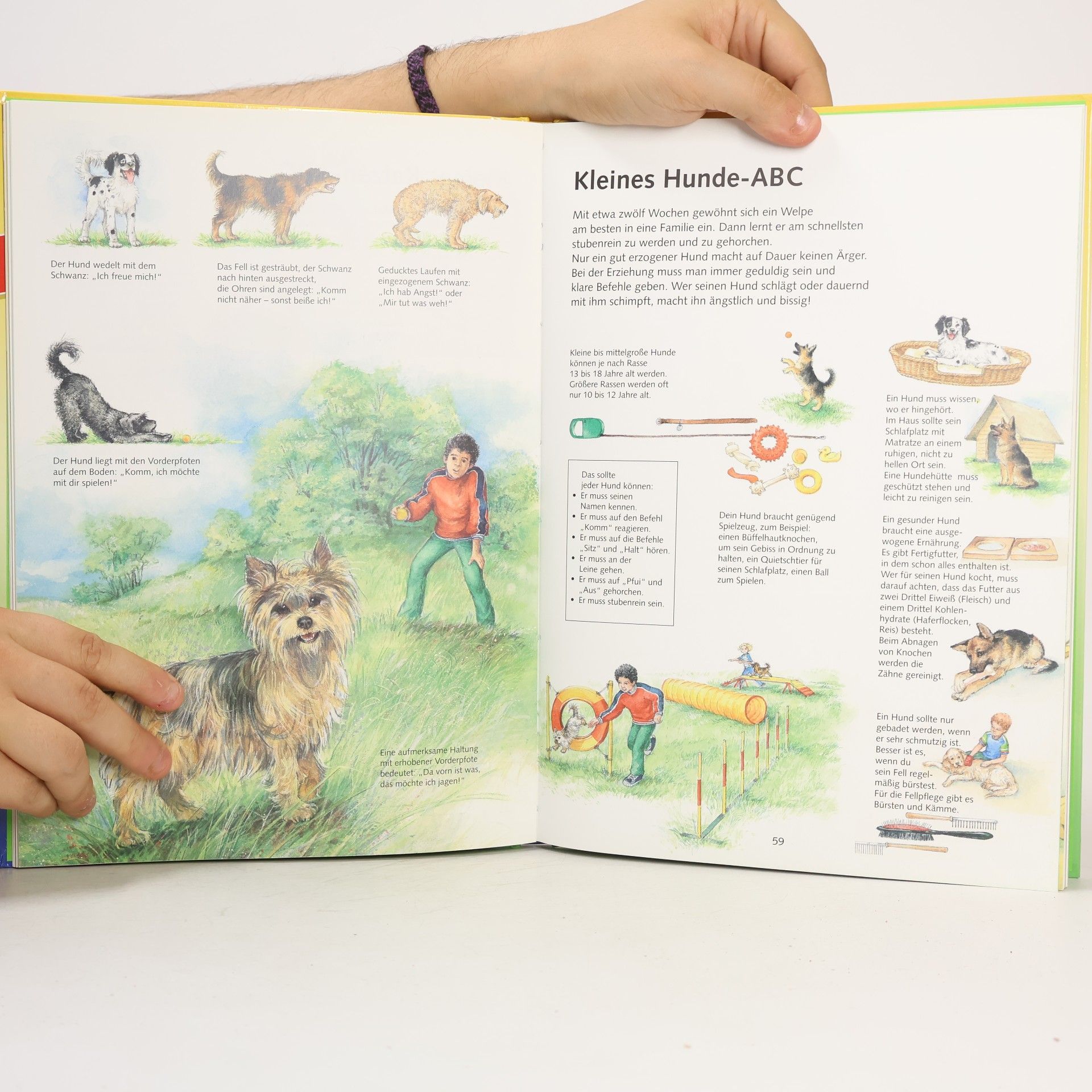 Sabine Zürn Ravensburger Jahrbuch 2002