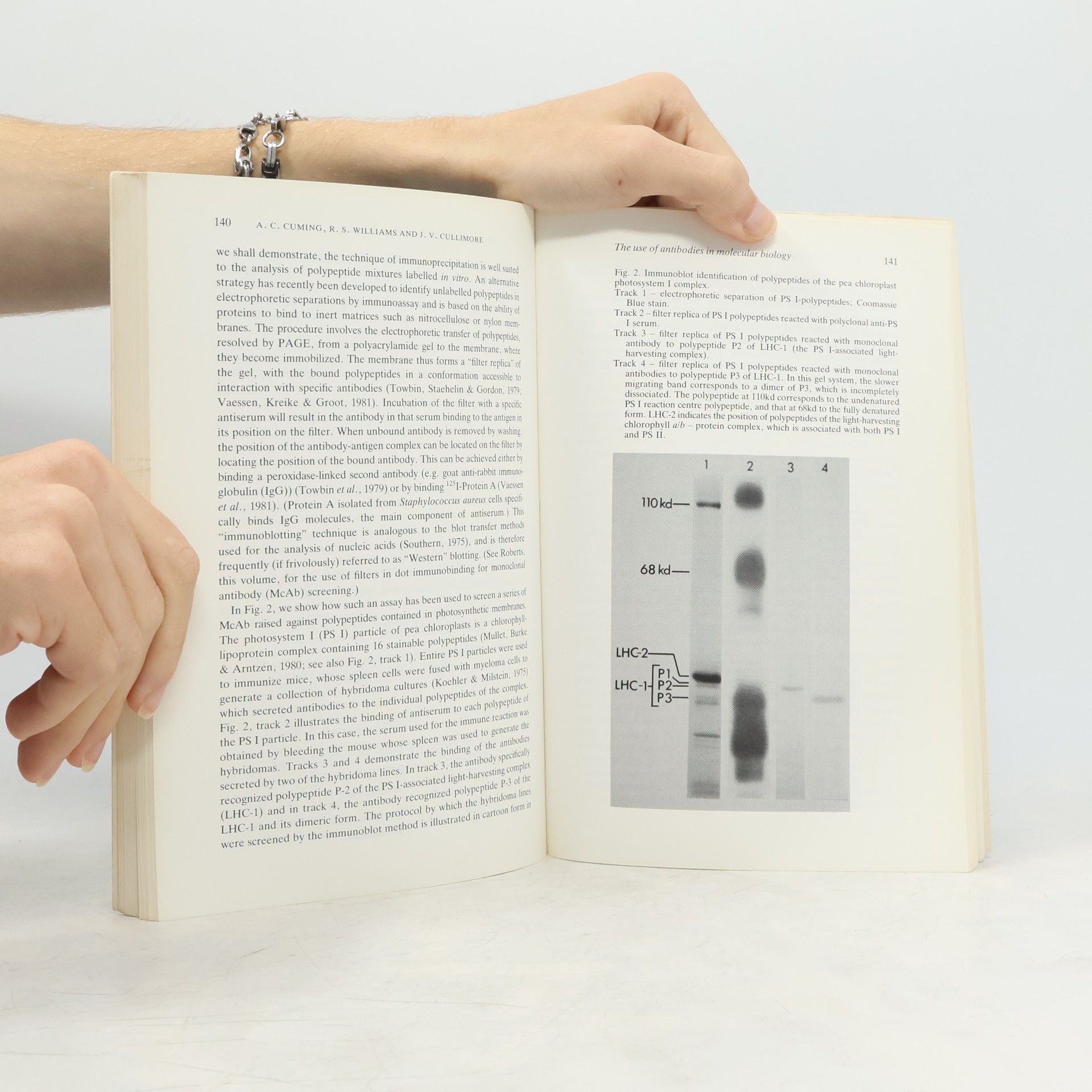 Trevor L. Wang Immunology in Plant Science