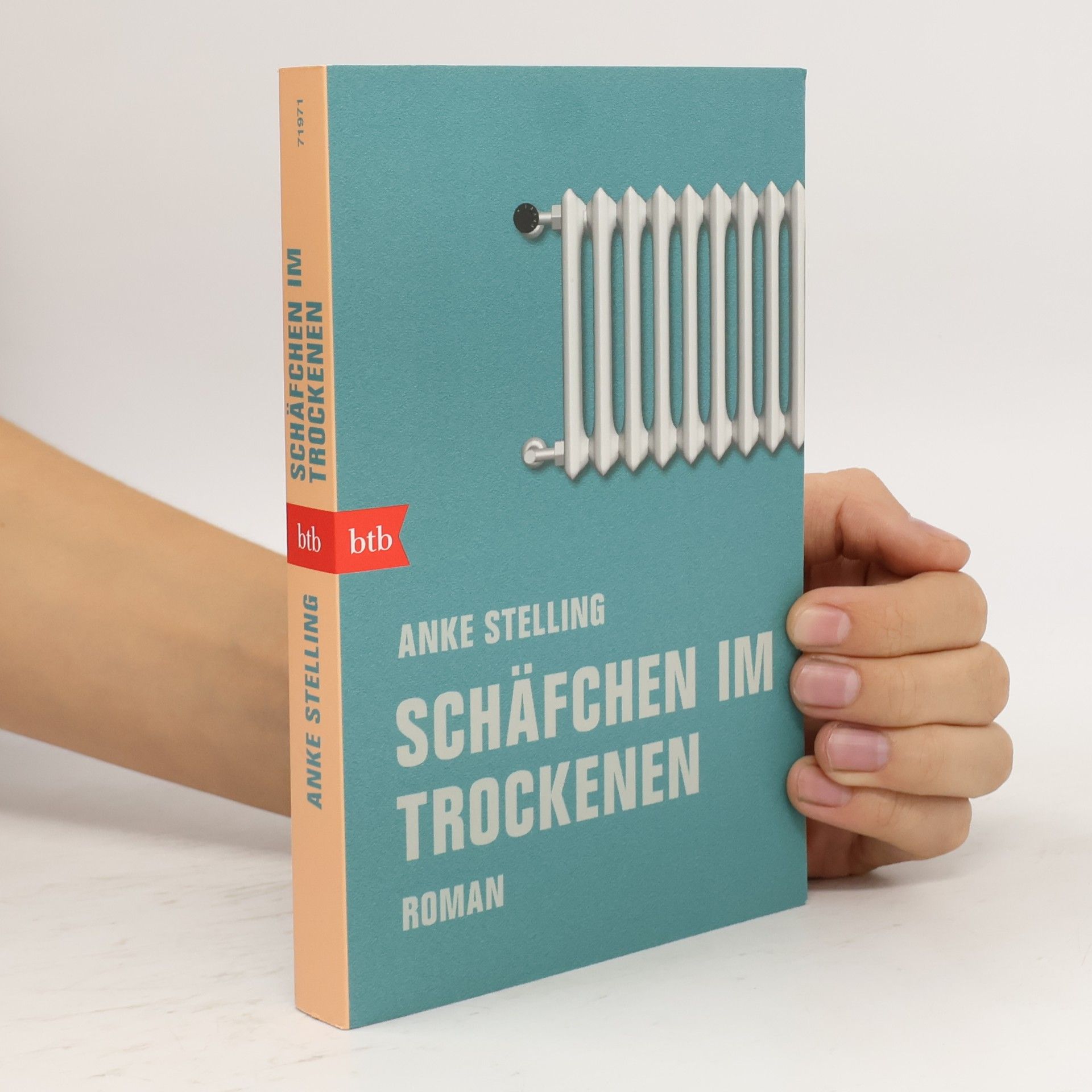 Schäfchen im Trockenen