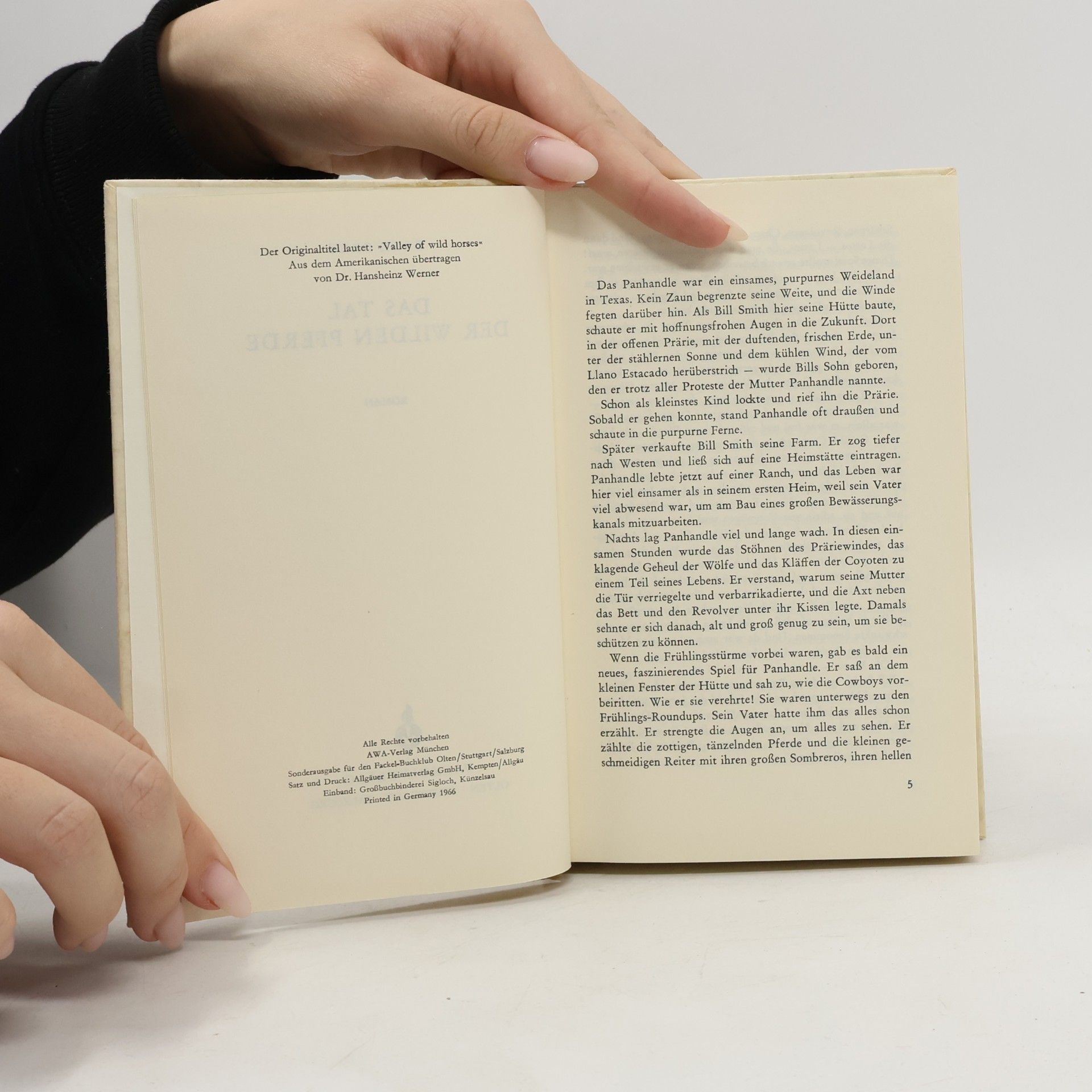 Zane Grey Das Tal der wilden Pferde